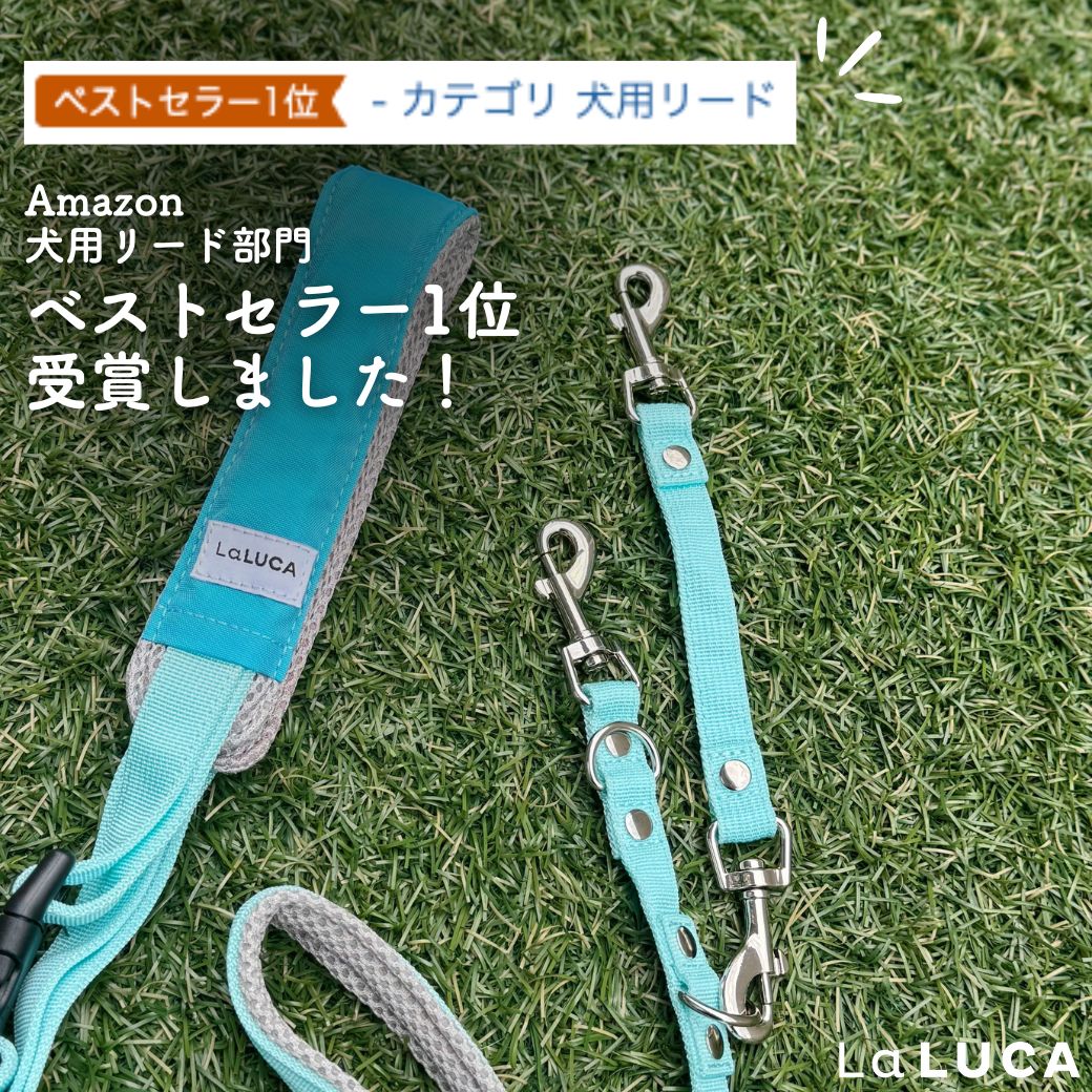 「厳しいかも…💦」アドバンスモア開発秘話1