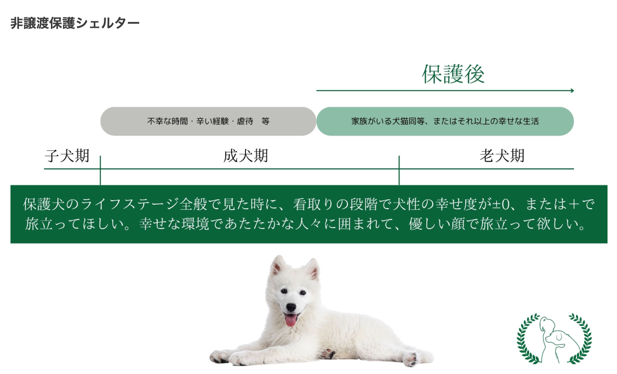 【ご縁を繋ぐLaLUCAの保護犬活動】のご紹介