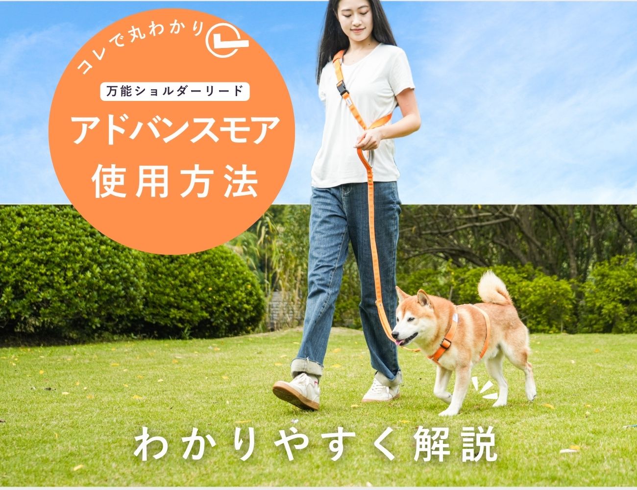 アドバンスモア使い方特集✨