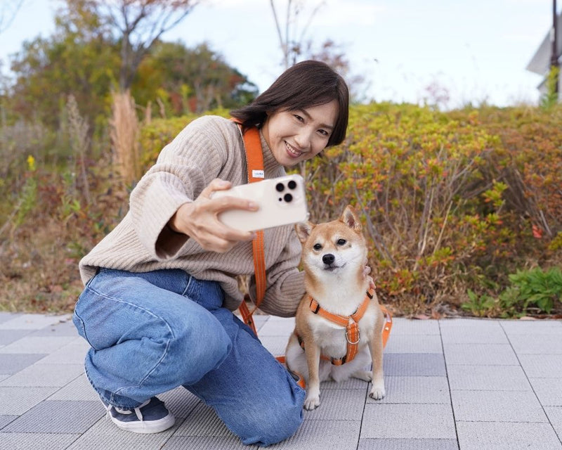 愛犬のGWお出かけ準備!抜けない&引っ張り防止のハーネス