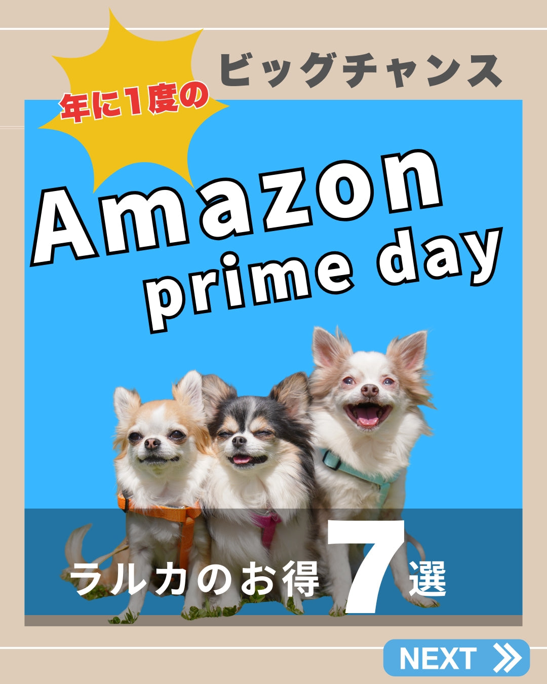 【年に1度】Amazonプライムデー!ラルカの目玉商品を一挙公開☆