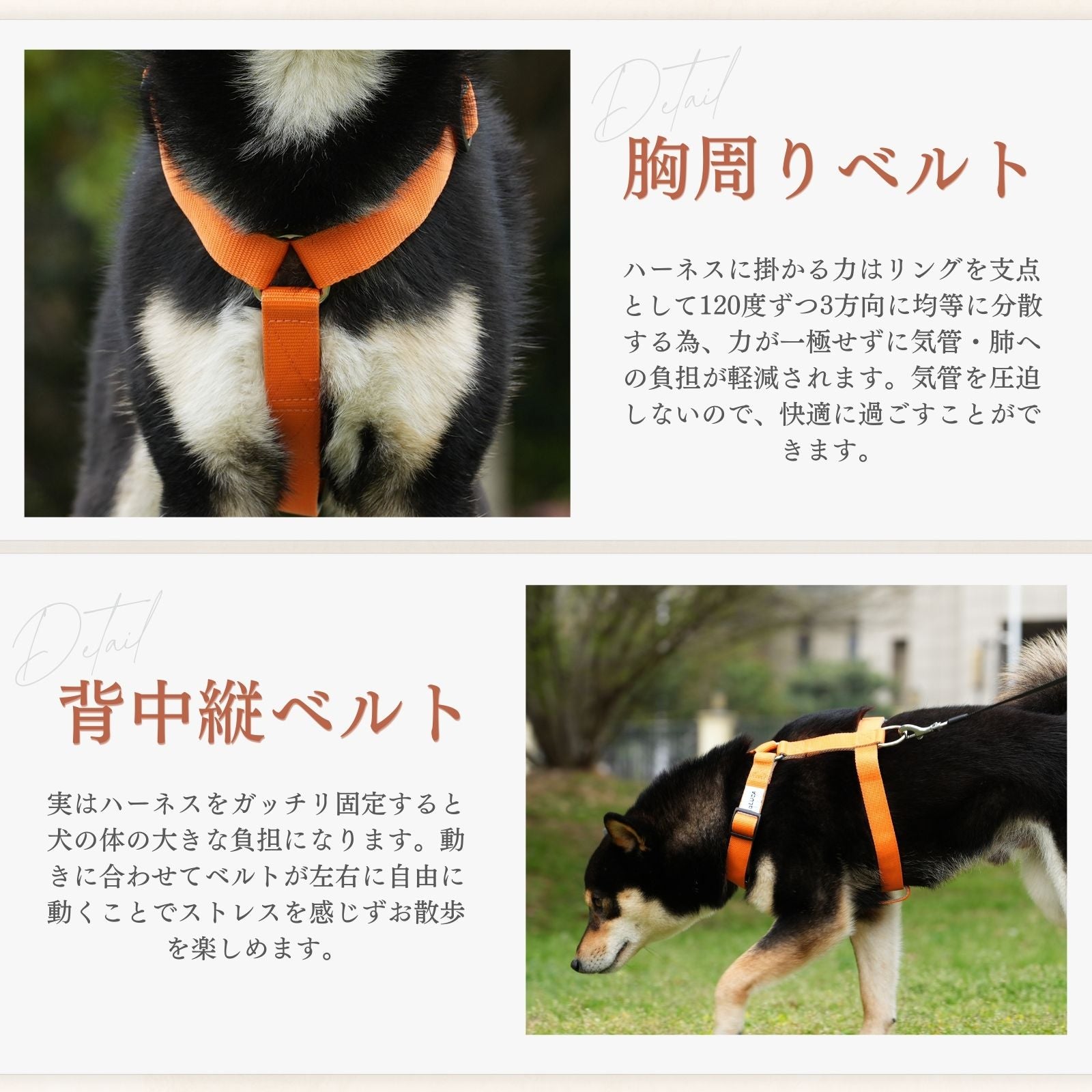 エスケープガード 01/02モデル (抜けにくいハーネス)