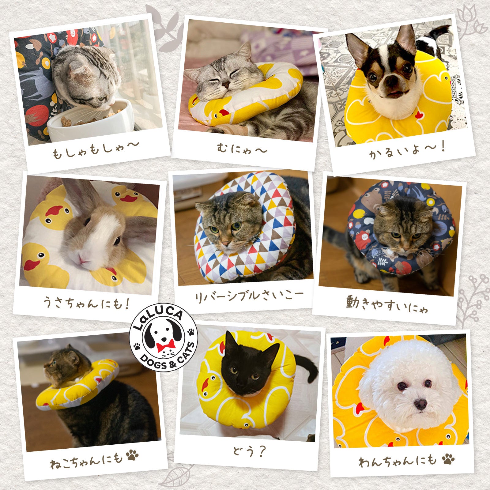【楽天3冠】【翌日出荷】エリザベスカラー 犬 猫 エリカラ 綿 クッション リバーシブル 手術 怪我 術後 傷口保護 LaLUCA キャット 子犬 超小型犬 子ネコ 成犬用 こねこ ねこちゃん ワンチャン わんちゃん 愛犬 ペット用品 イヌ
