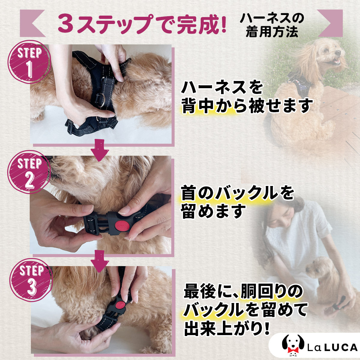 プロ監修 【楽天6冠】 犬 ハーネス 小型犬 中型犬 大型犬 おしゃれ かわいい 脱げない 柴犬 ロック 胴輪 介護 ハンドル ペット 散歩 補助 送料無料 LaLUCA はーねす 首輪 子犬 超小型犬 成犬用 愛犬 リード 老犬 いぬ イヌ ワンチャン