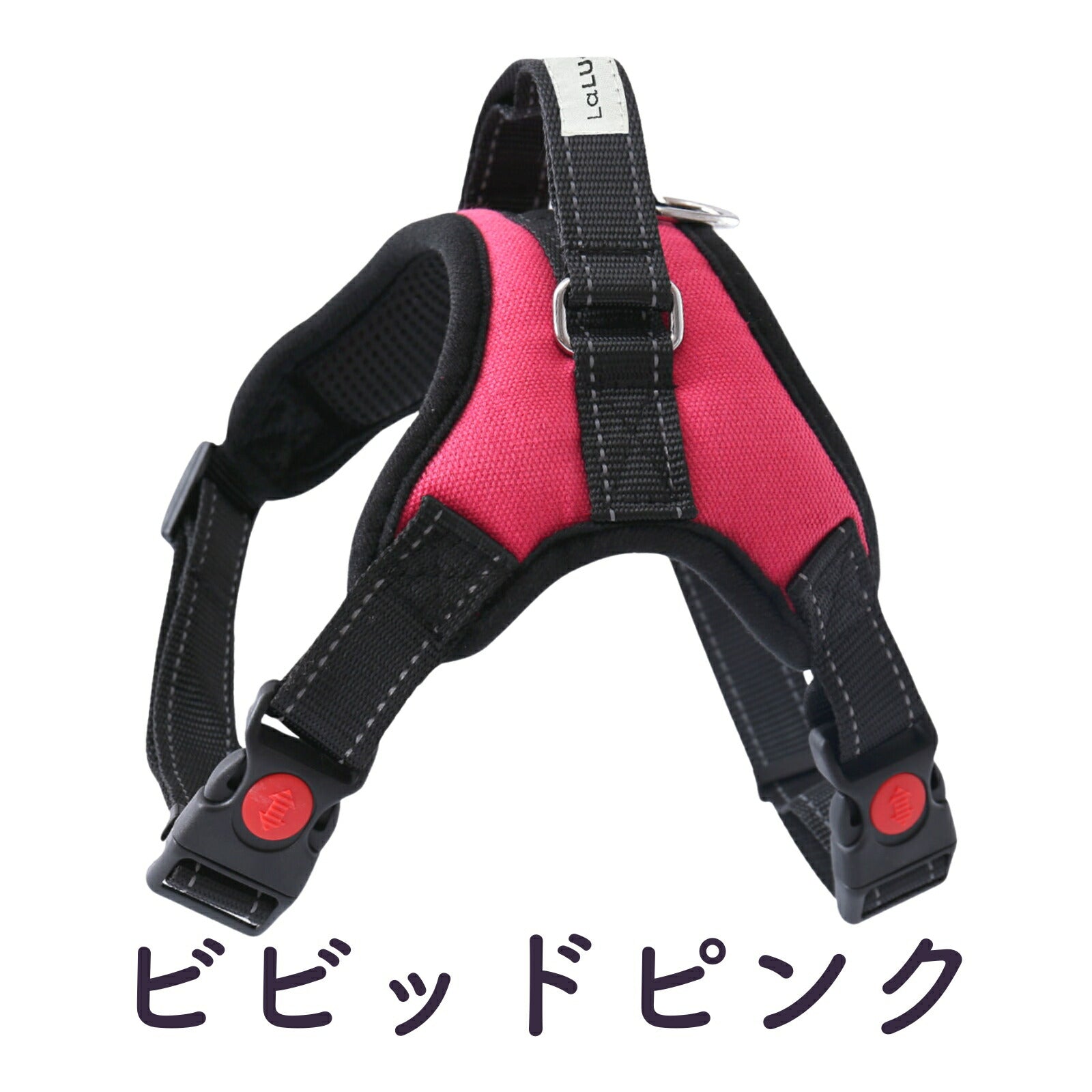 【専門家監修】 ソフトハーネス