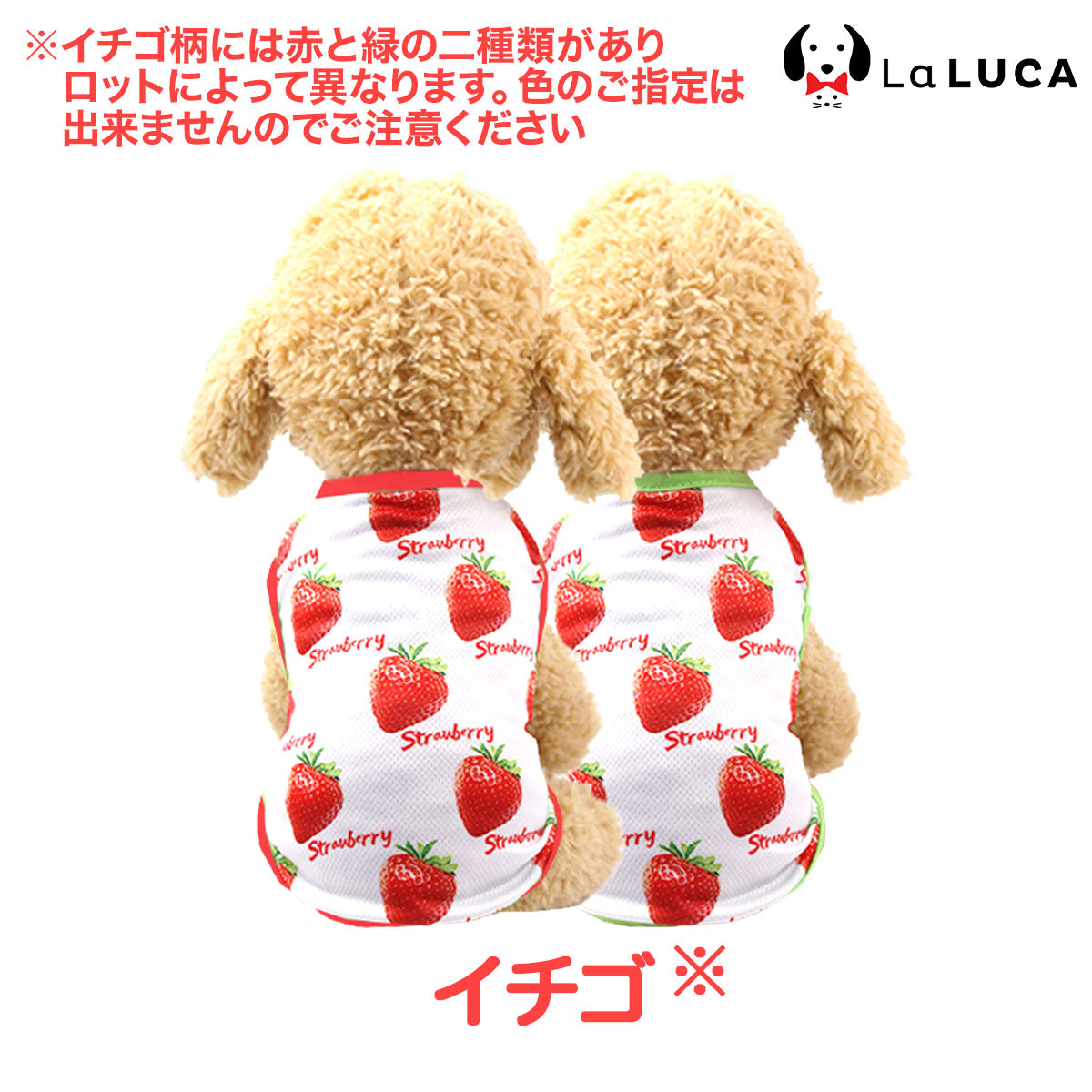 トロピカルタンク