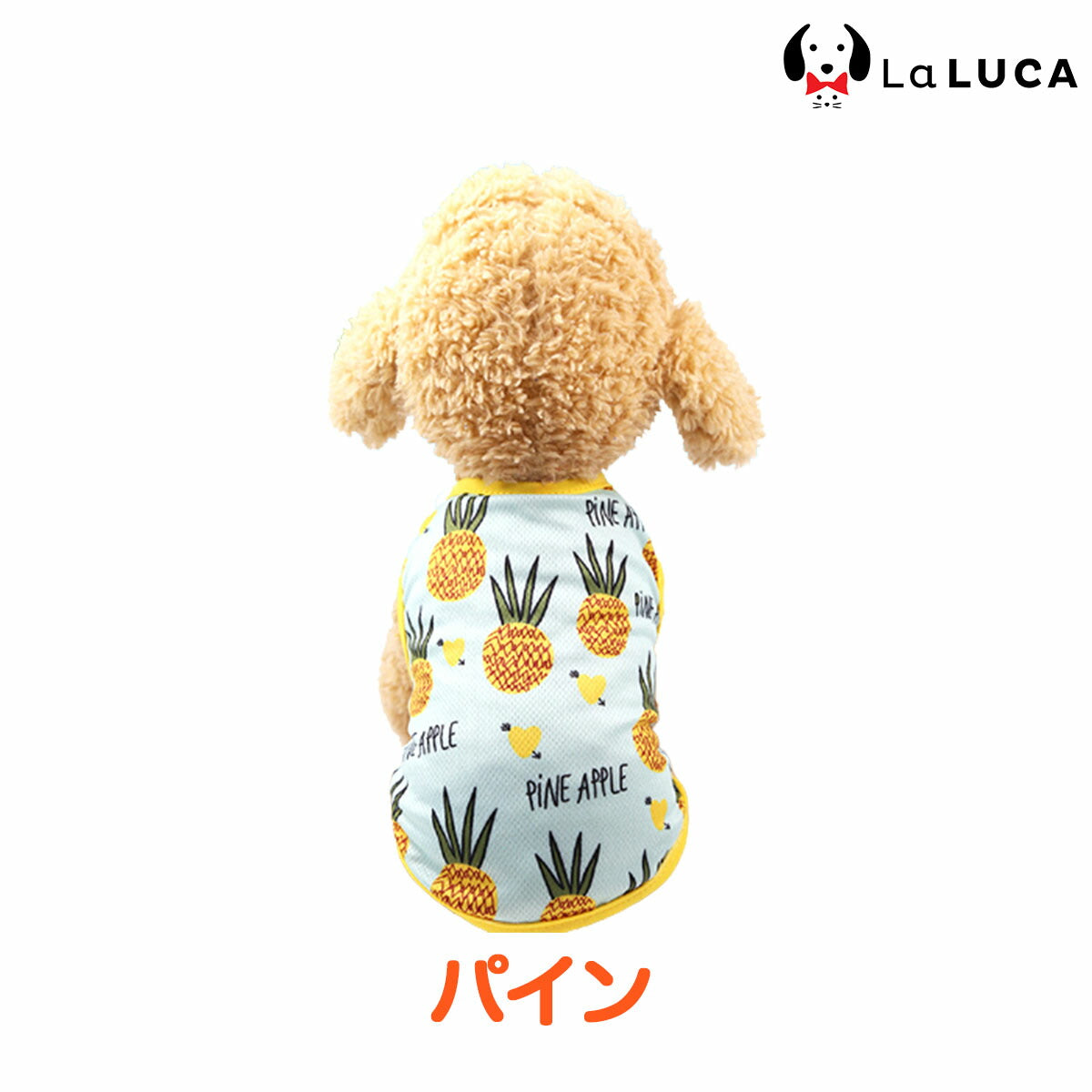 トロピカルタンク
