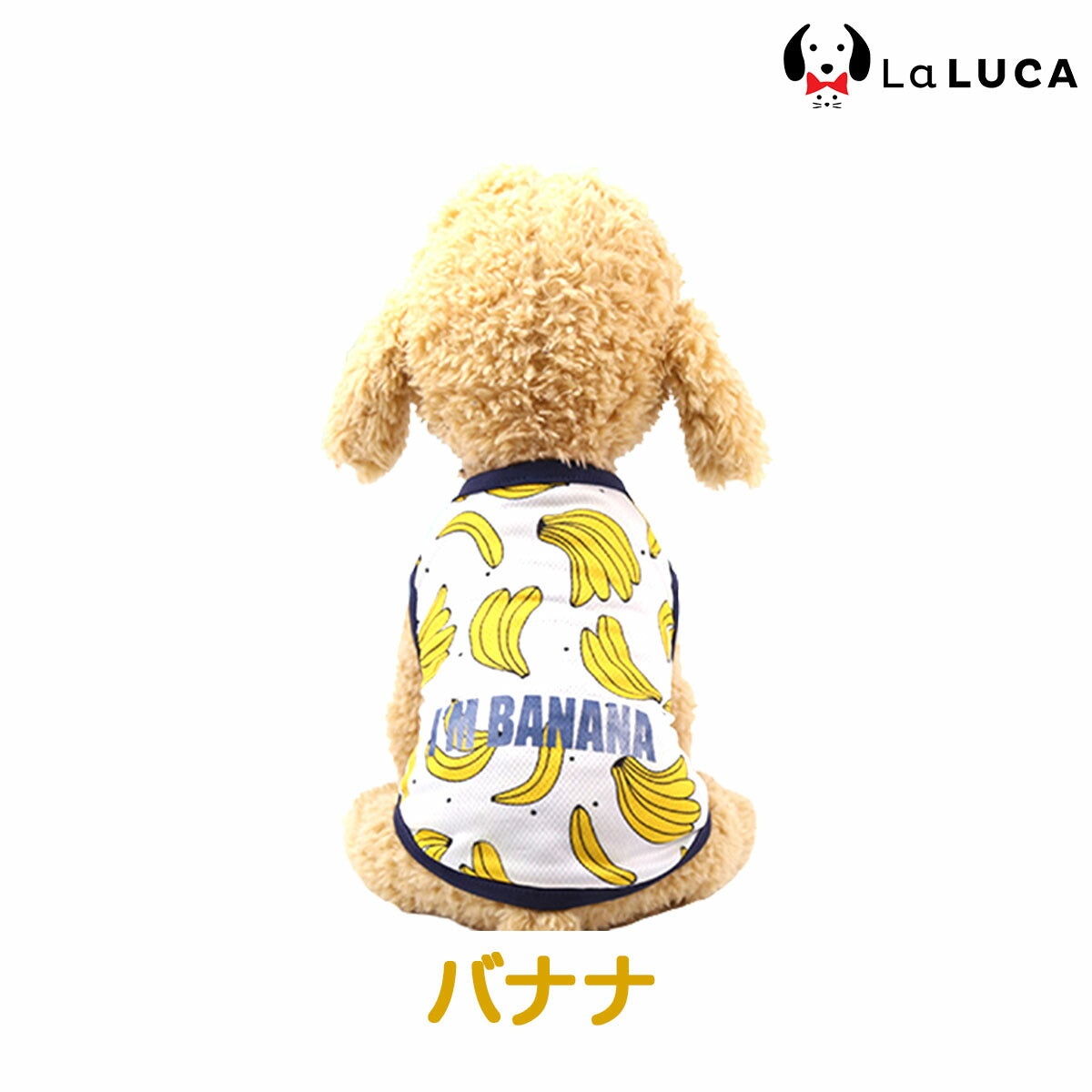 トロピカルタンク