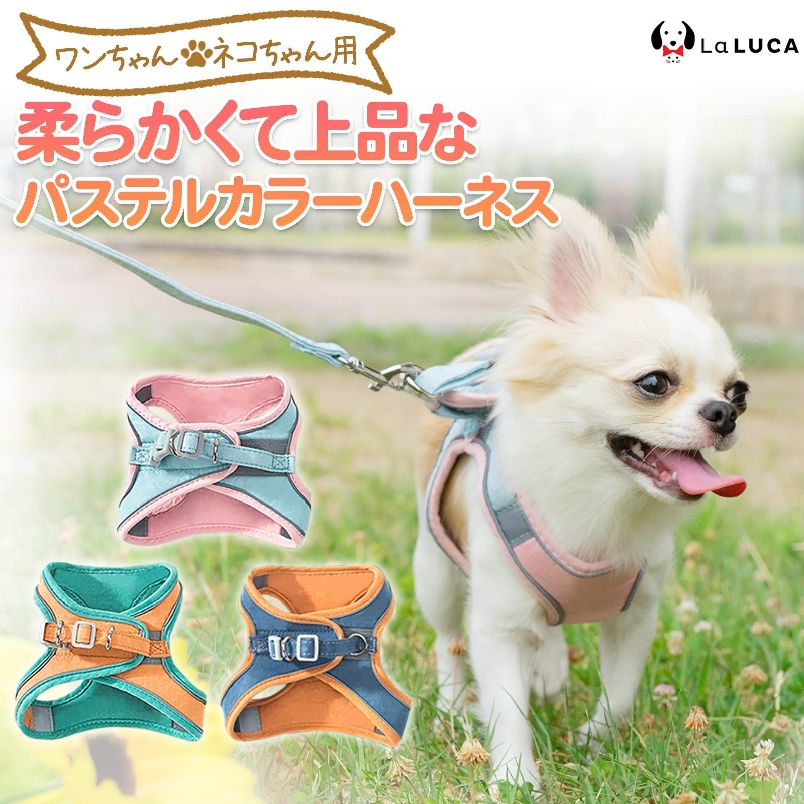 ベルベットハーネス