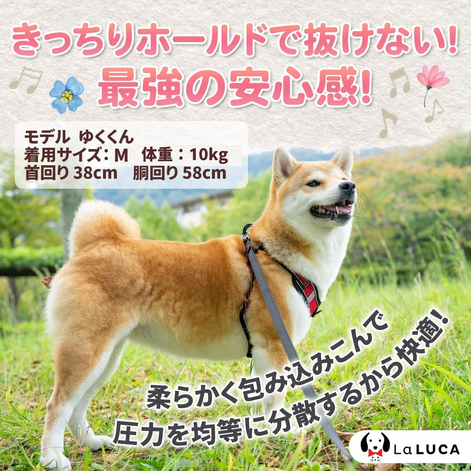 【楽天6冠】 犬 ハーネス リード セット 抜けない 脱げない 小型犬 中型犬 大型犬 超小型犬 子犬 メッシュ おしゃれ 柴犬 軽い 犬用 胴輪 散歩 LaLUCA ブルー 赤 緑 フィット お洒落 はーねす おでかけ 子犬 超小型犬 子ネコ 成犬用 おさんぽ