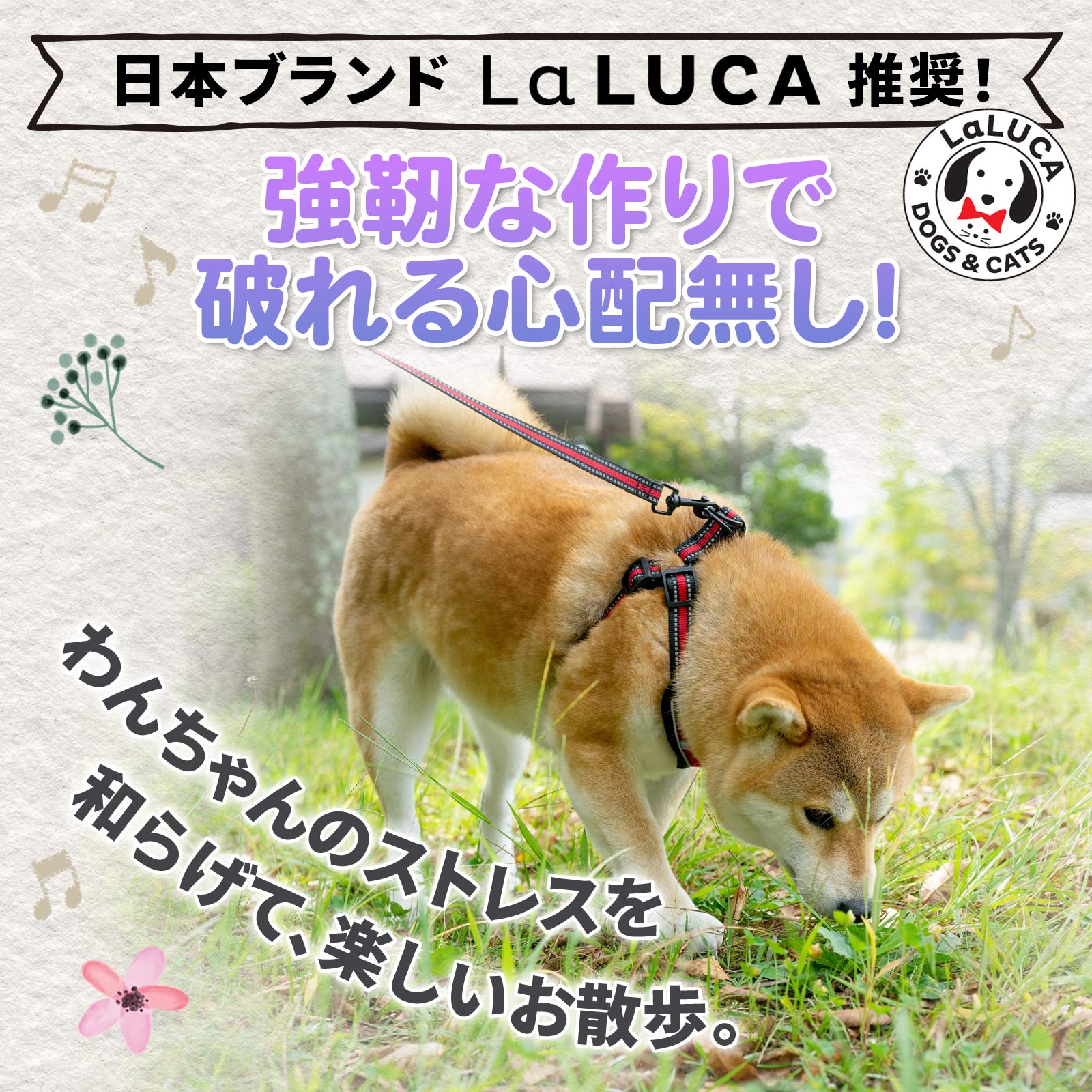 【楽天6冠】 犬 ハーネス リード セット 抜けない 脱げない 小型犬 中型犬 大型犬 超小型犬 子犬 メッシュ おしゃれ 柴犬 軽い 犬用 胴輪 散歩 LaLUCA ブルー 赤 緑 フィット お洒落 はーねす おでかけ 子犬 超小型犬 子ネコ 成犬用 おさんぽ