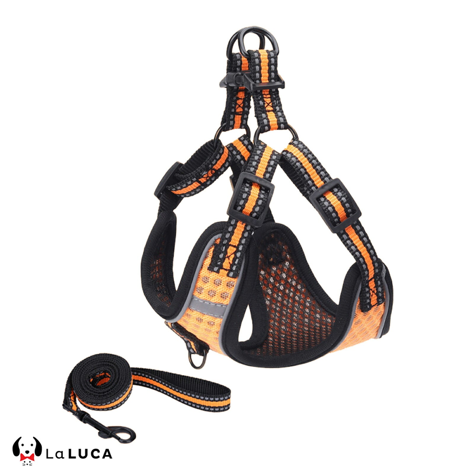 【専門家監修】 スタンダードハーネス