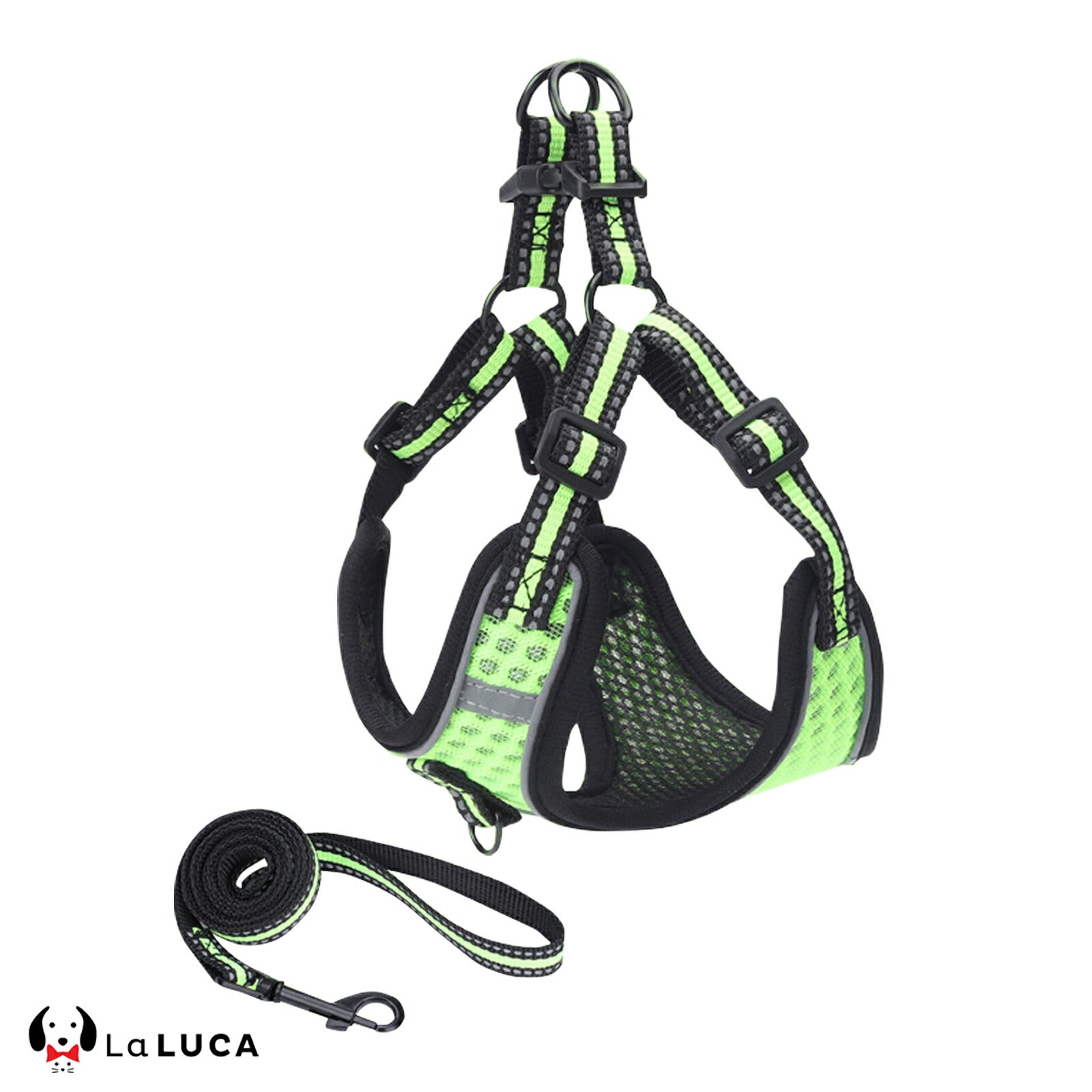 【専門家監修】 スタンダードハーネス