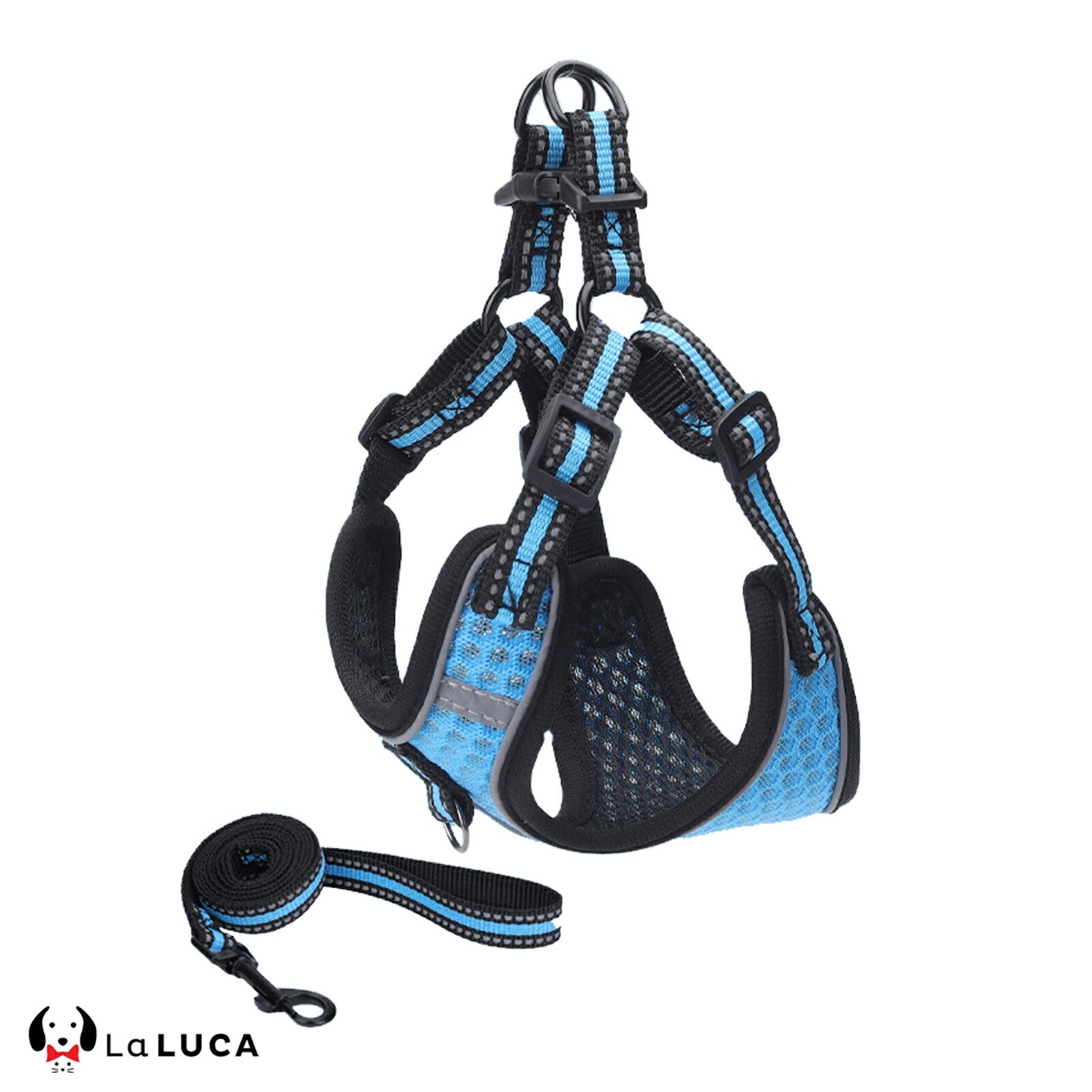 【専門家監修】 スタンダードハーネス