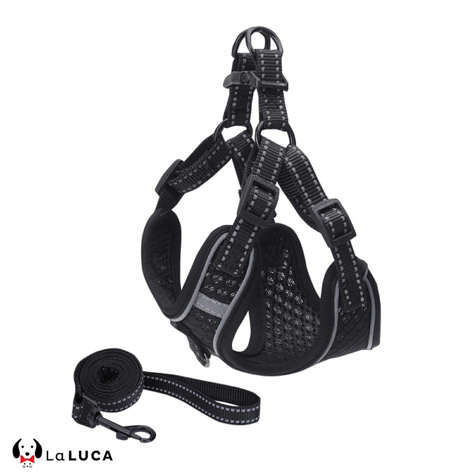 【専門家監修】 スタンダードハーネス