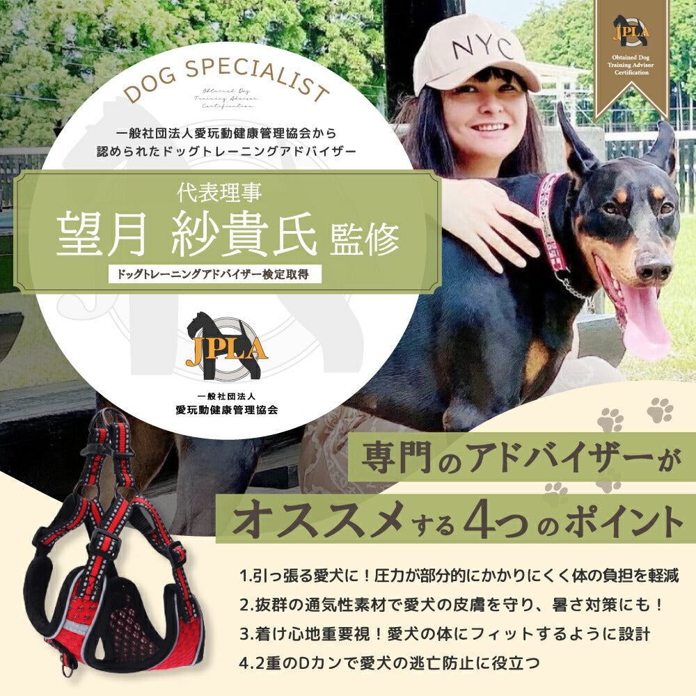 【楽天6冠】 犬 ハーネス リード セット 抜けない 脱げない 小型犬 中型犬 大型犬 超小型犬 子犬 メッシュ おしゃれ 柴犬 軽い 犬用 胴輪 散歩 LaLUCA ブルー 赤 緑 フィット お洒落 はーねす おでかけ 子犬 超小型犬 子ネコ 成犬用 おさんぽ