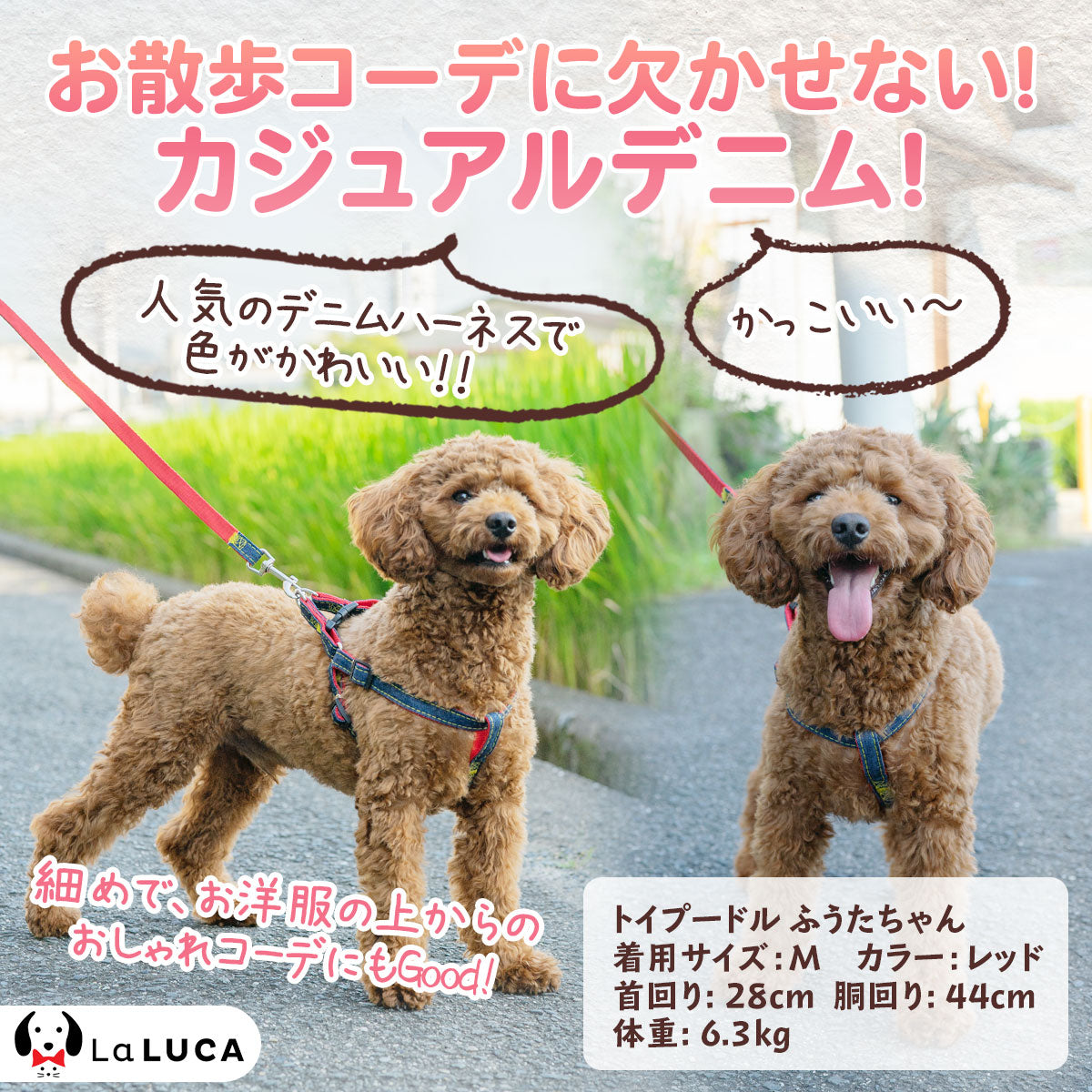【楽天6冠】 犬 ハーネス 定番 スタンダード 犬用ハーネス リード付 デニム ジーンズ おしゃれ 小型犬 中型犬 ドッグ 散歩 かわいい LaLUCA