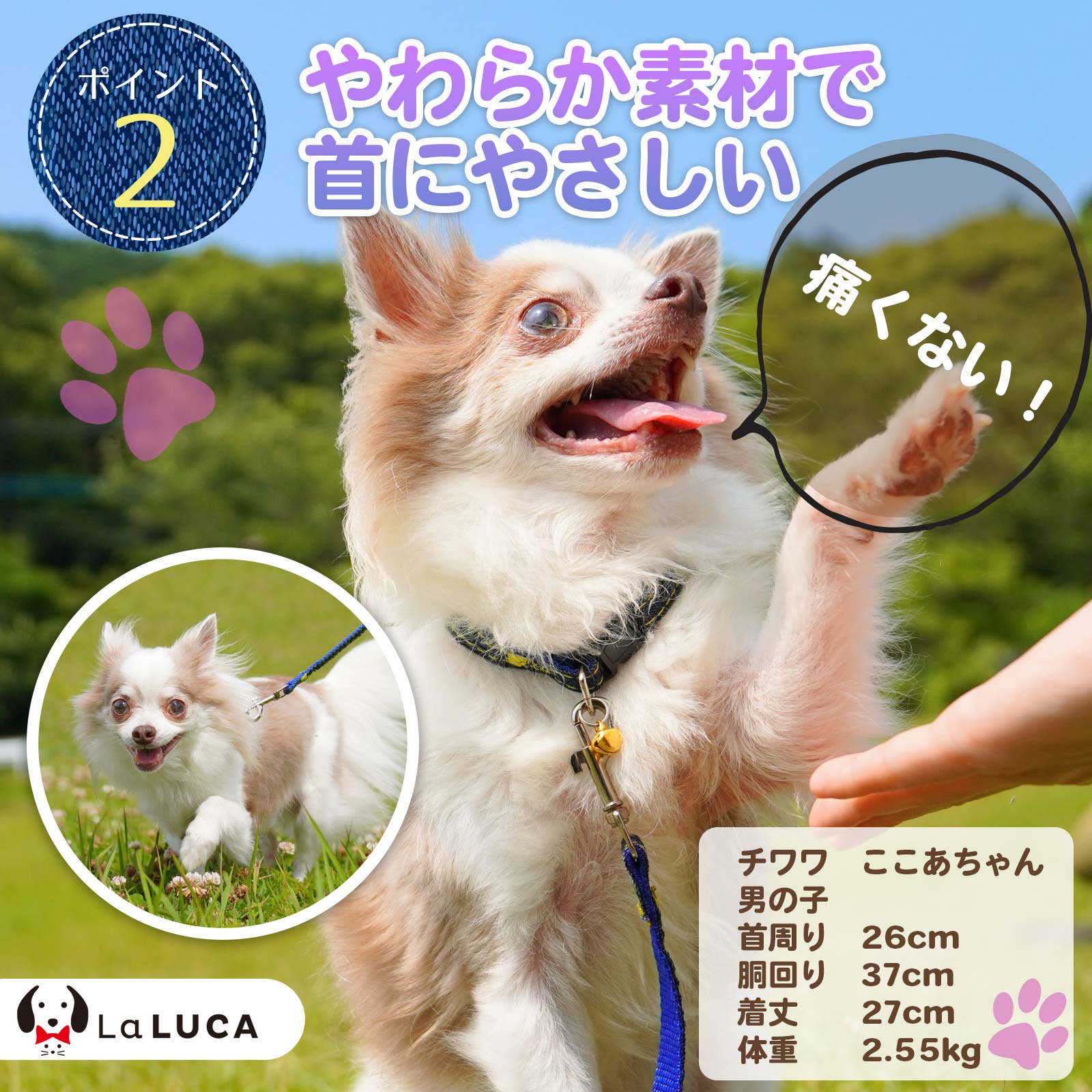 犬 首輪 細め 猫 おしゃれ 定番 スタンダード デニム ジーンズ 小型犬 中型犬 ドッグ 散歩 かわいい 鈴 かっこいい ワンポイント 人気 LaLUCA