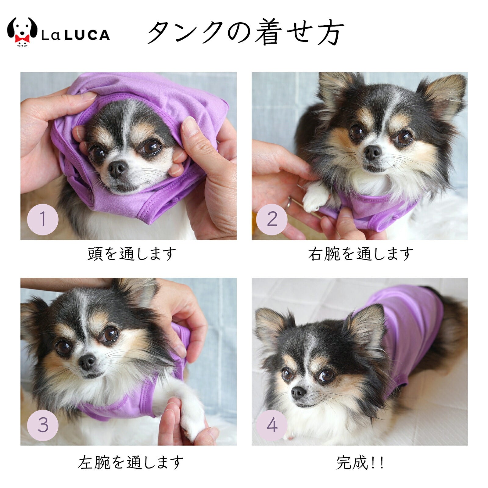 【楽天2冠】【送料無料】 犬 服 綿 コットン タンクトップ タンク ドッグウェア ドッグウエア 犬服 犬の服 Tシャツ 無地 綿100% カラフル シンプル オールシーズン LaLUCA