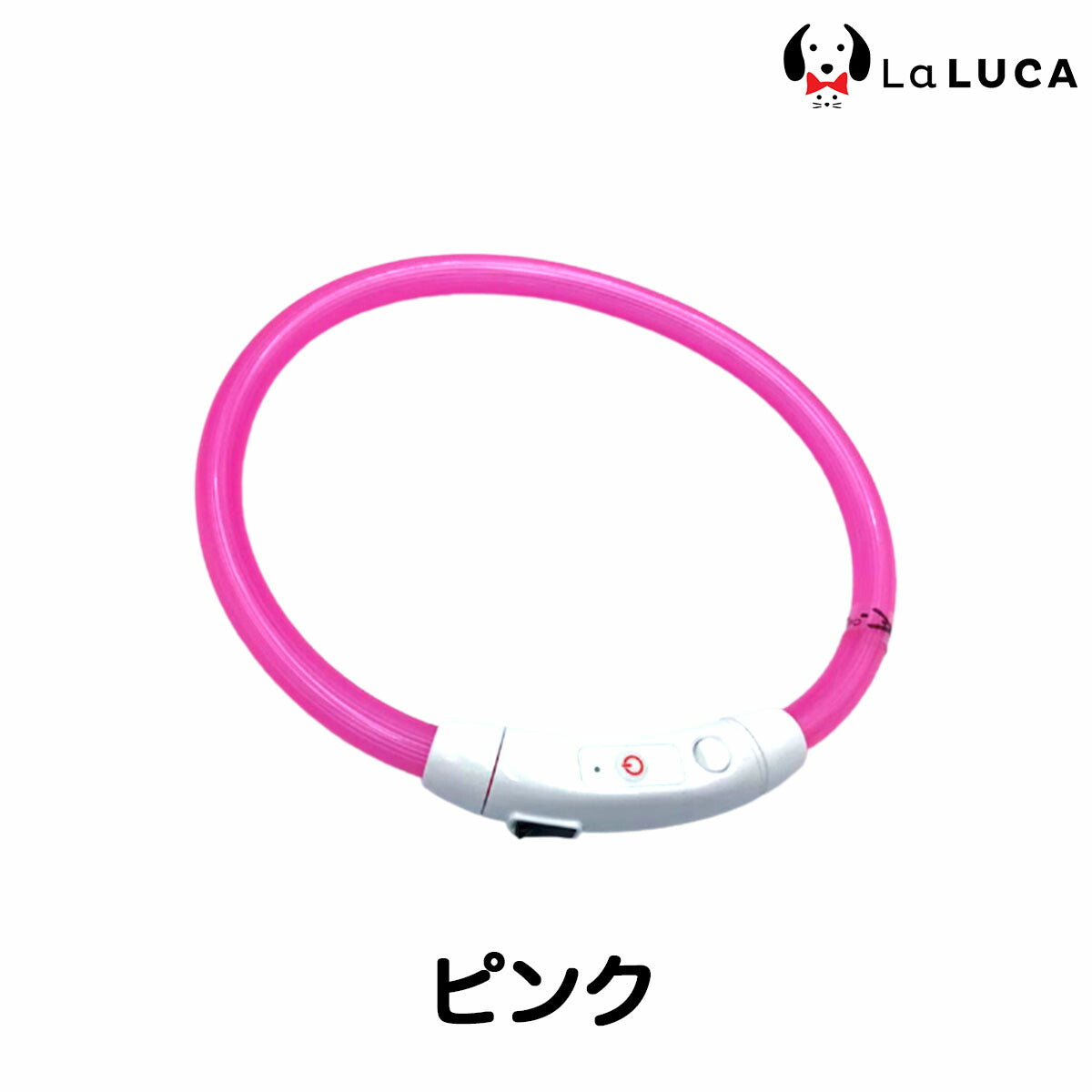 【専門家監修】 光る首輪