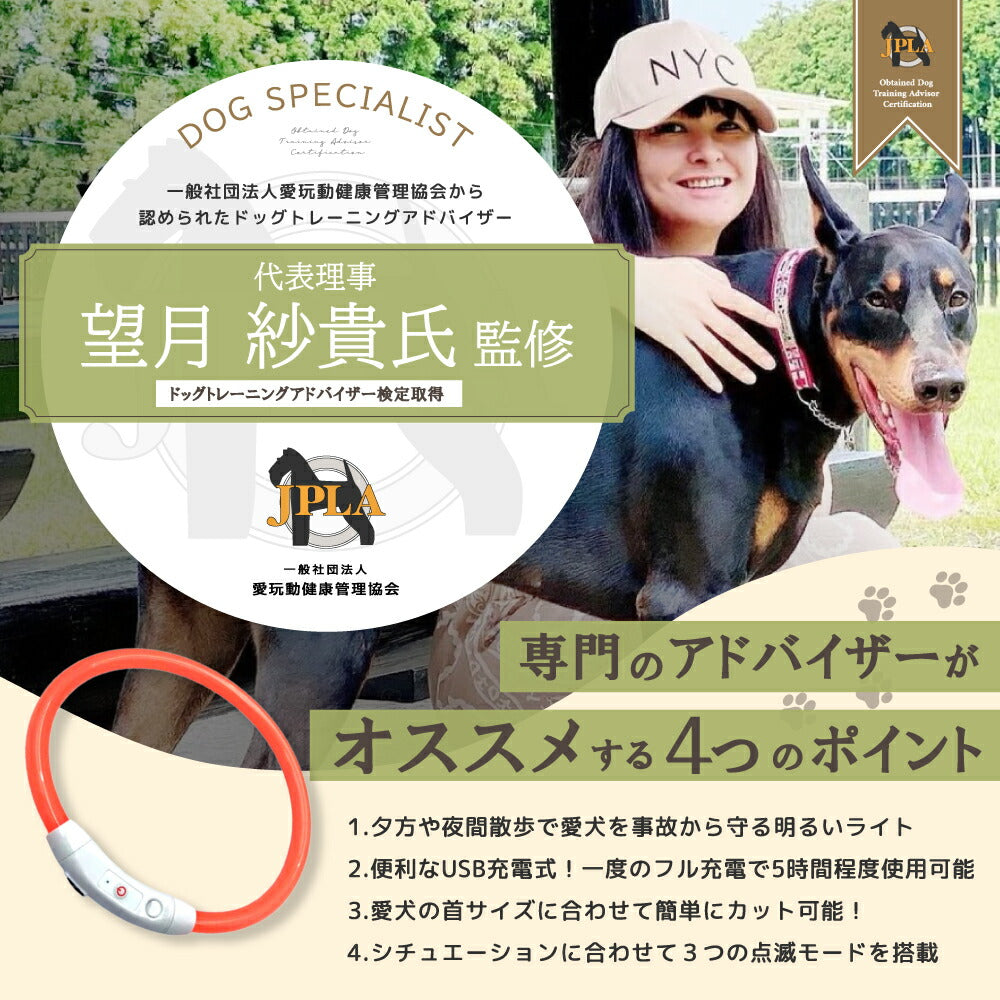 プロ監修 【楽天ランキング1位】 光る首輪 犬 LED首輪 レインボー 虹色 発光首輪 夜間 首輪 散歩 安全 事故防止 充電式 USB充電式 サイズ調整可 蛍光 小型犬 中型犬 大型犬 おしゃれ かわいい 猫 ライト LEDライト 点灯 点滅 カット 防水 散歩用