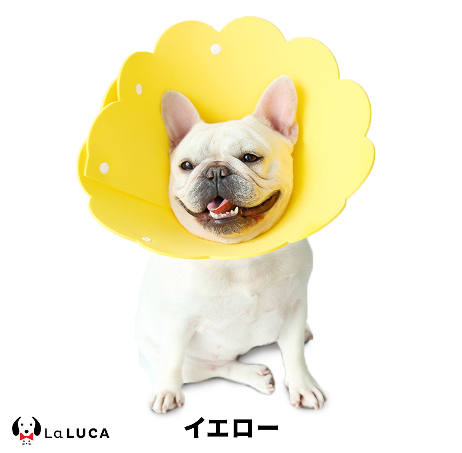 【翌日出荷】 【楽天2冠】 エリカラ ロング エリザベスカラー 犬 イヌ 猫 ネコ 軽量 送料無料 ソフト ストレス軽減 傷舐め防止 ペット用ソフトエリザベスカラー LaLUCA