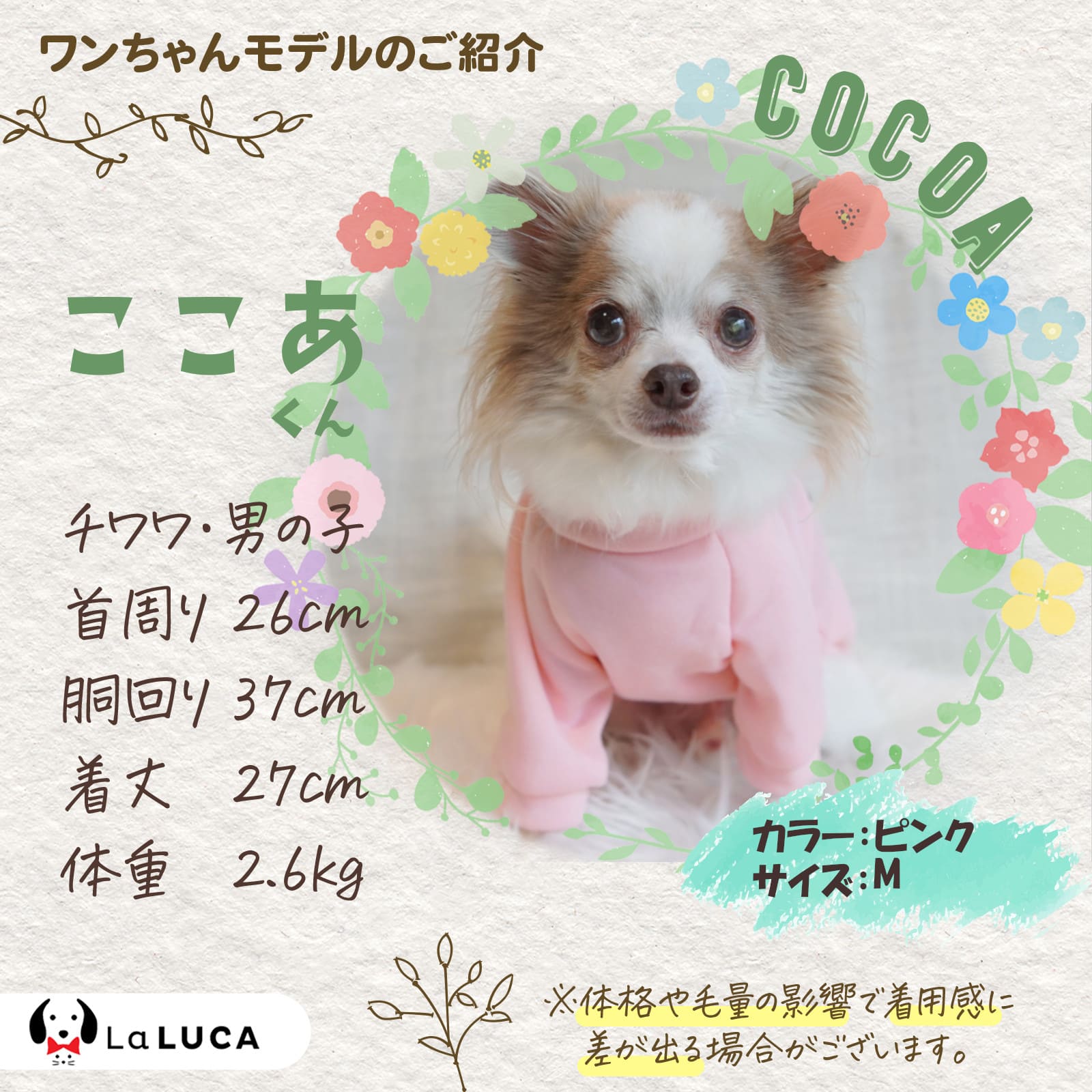 犬 服 ペット 犬服 ドッグウェア ペットウェア 熊柄 クマ柄 かわいい おしゃれ 小型犬 中型犬 お散歩 お出かけ 秋冬 大特価 安い LaLUCA