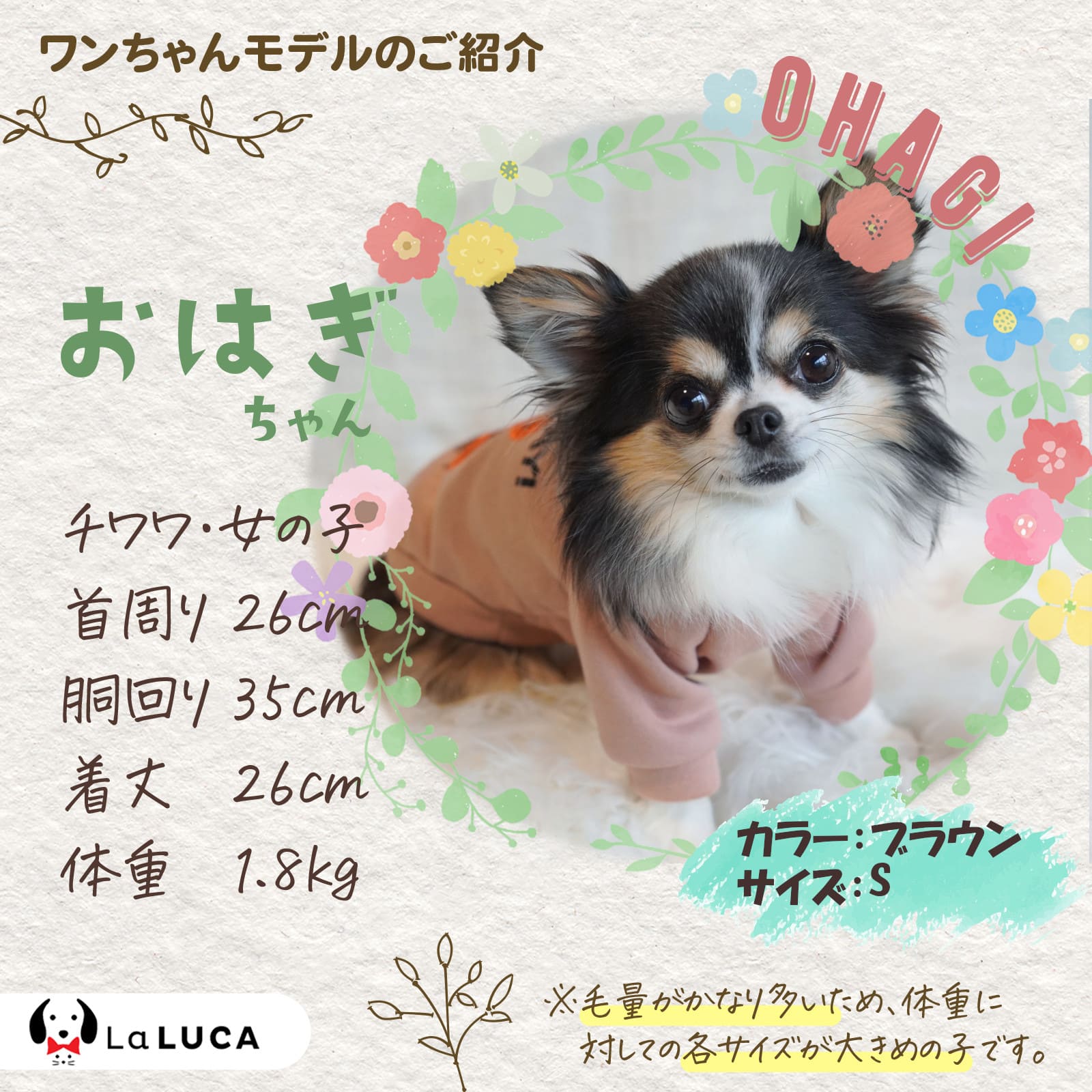 犬 服 ペット 犬服 ドッグウェア ペットウェア 熊柄 クマ柄 かわいい おしゃれ 小型犬 中型犬 お散歩 お出かけ 秋冬 大特価 安い LaLUCA
