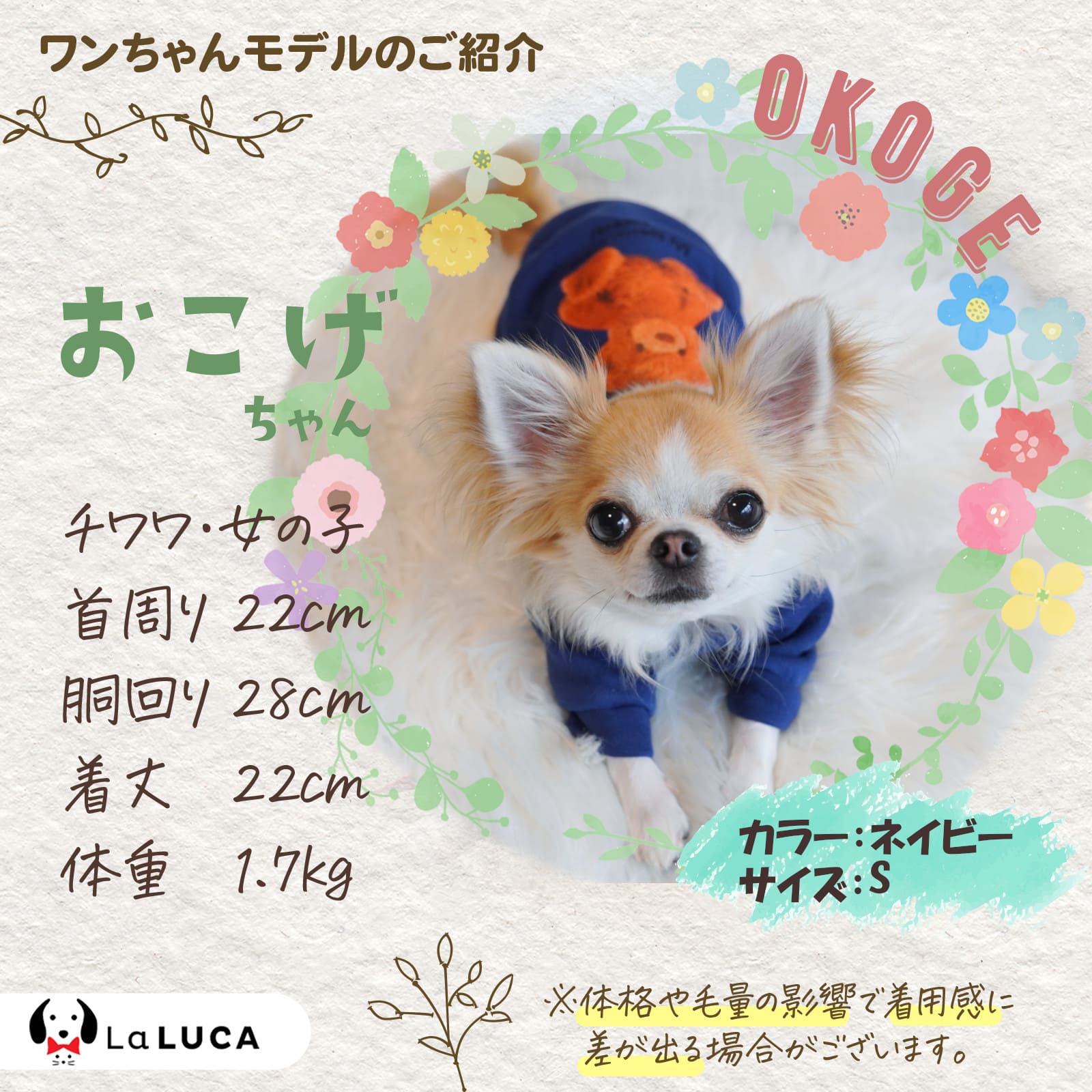 犬 服 ペット 犬服 ドッグウェア ペットウェア 熊柄 クマ柄 かわいい おしゃれ 小型犬 中型犬 お散歩 お出かけ 秋冬 大特価 安い LaLUCA