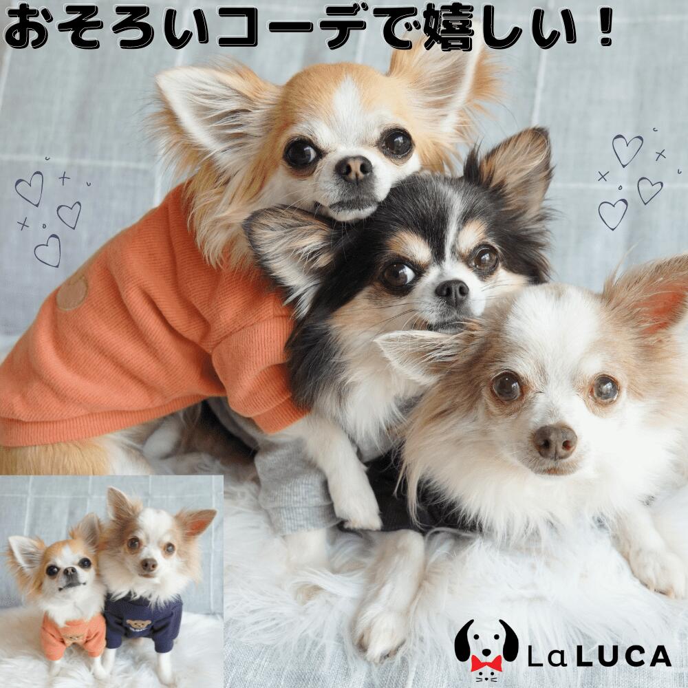 【楽天6冠】 犬 服 ペット 犬服 ドッグウェア ペットウェア 熊柄 クマ柄 かわいい おしゃれ 小型犬 中型犬 春秋 LaLUCA くま クマ ワッペン ブラウン ホワイト 白 グリーン オレンジ お洒落 レッド 子犬 ネイビー 洋服