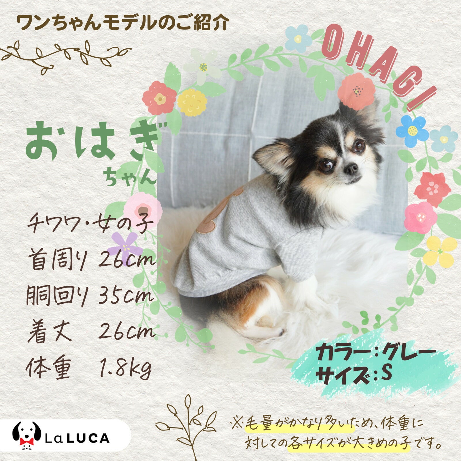 【楽天6冠】 犬 服 ペット 犬服 ドッグウェア ペットウェア 熊柄 クマ柄 かわいい おしゃれ 小型犬 中型犬 春秋 LaLUCA くま クマ ワッペン ブラウン ホワイト 白 グリーン オレンジ お洒落 レッド 子犬 ネイビー 洋服
