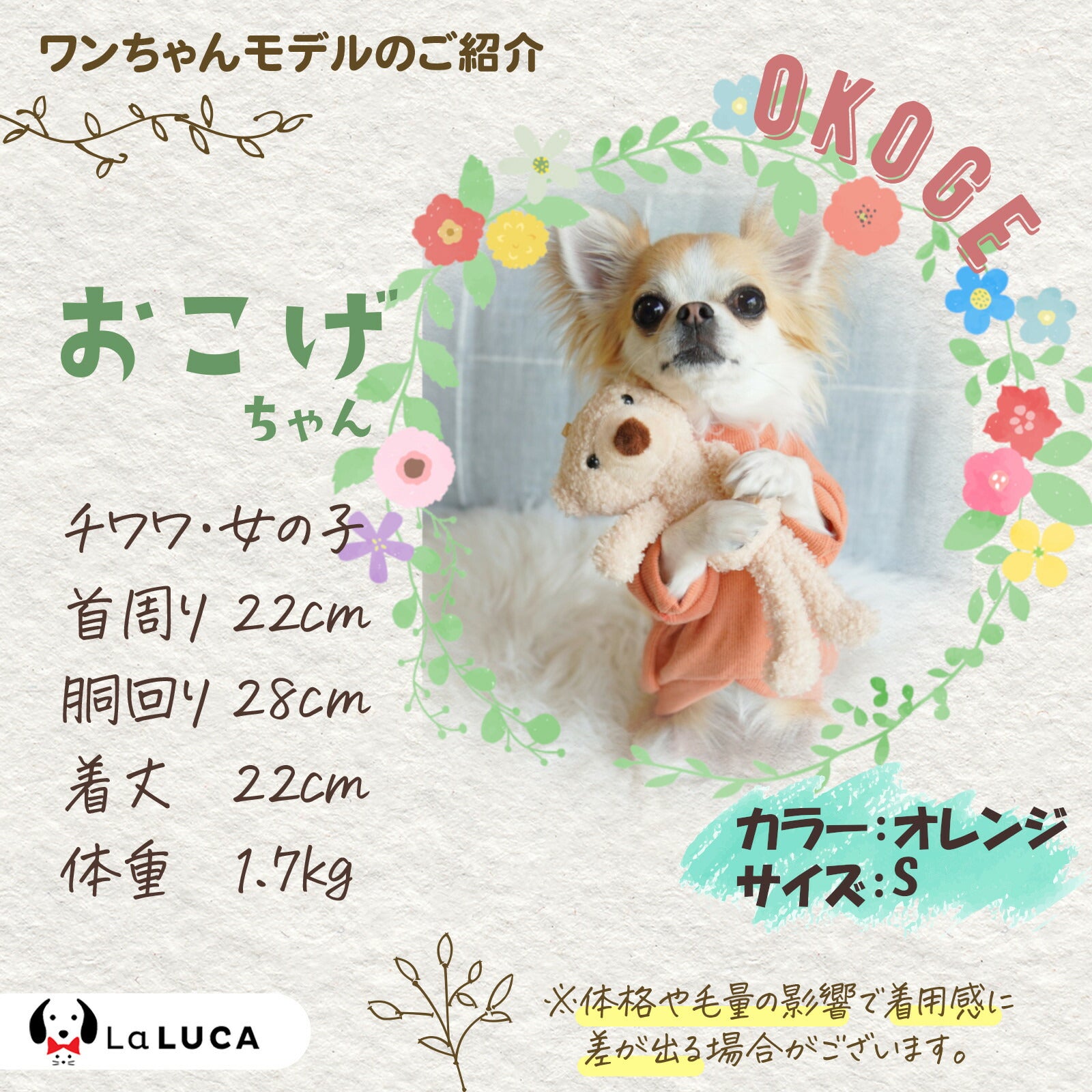 【楽天6冠】 犬 服 ペット 犬服 ドッグウェア ペットウェア 熊柄 クマ柄 かわいい おしゃれ 小型犬 中型犬 春秋 LaLUCA くま クマ ワッペン ブラウン ホワイト 白 グリーン オレンジ お洒落 レッド 子犬 ネイビー 洋服