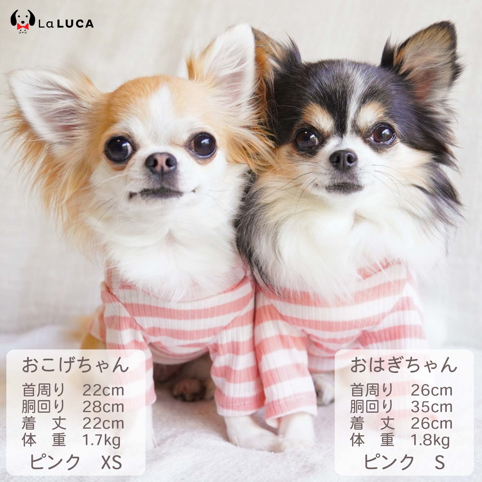 【送料無料】 犬 服 犬服 綿 コットン 袖あり ボーダー シンプル ドッグウェア 犬の服 Tシャツ 綿100% タートルネック 秋 春 オールシーズン LaLUCA