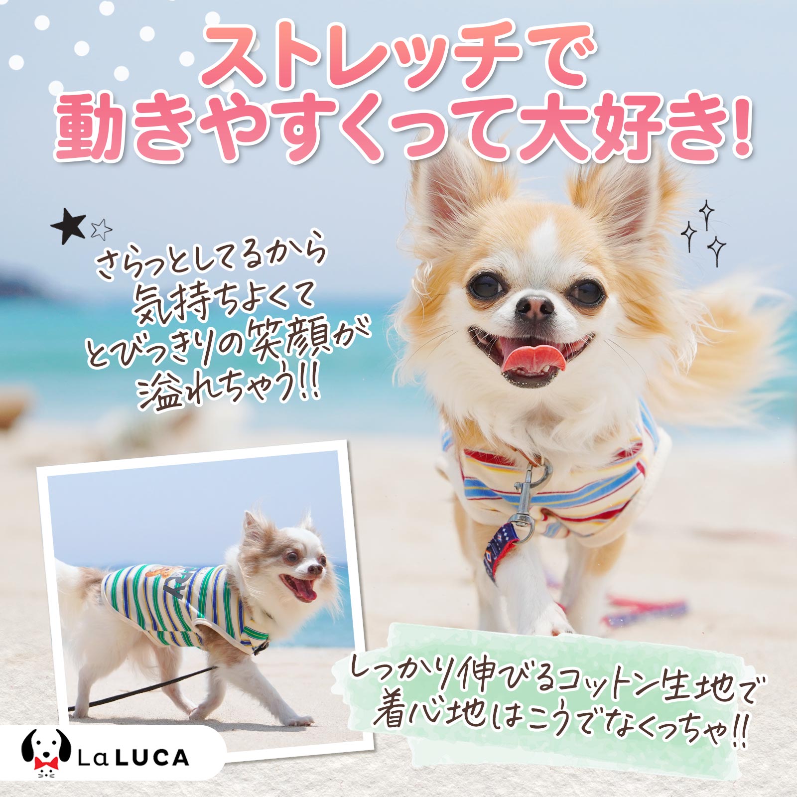 犬 服 犬服 ドッグウェア クマ くま ボーダー Tシャツ タンクトップ タンク クール 抜け毛防止 虫刺され防止 部屋着 オールシーズン LaLUCA
