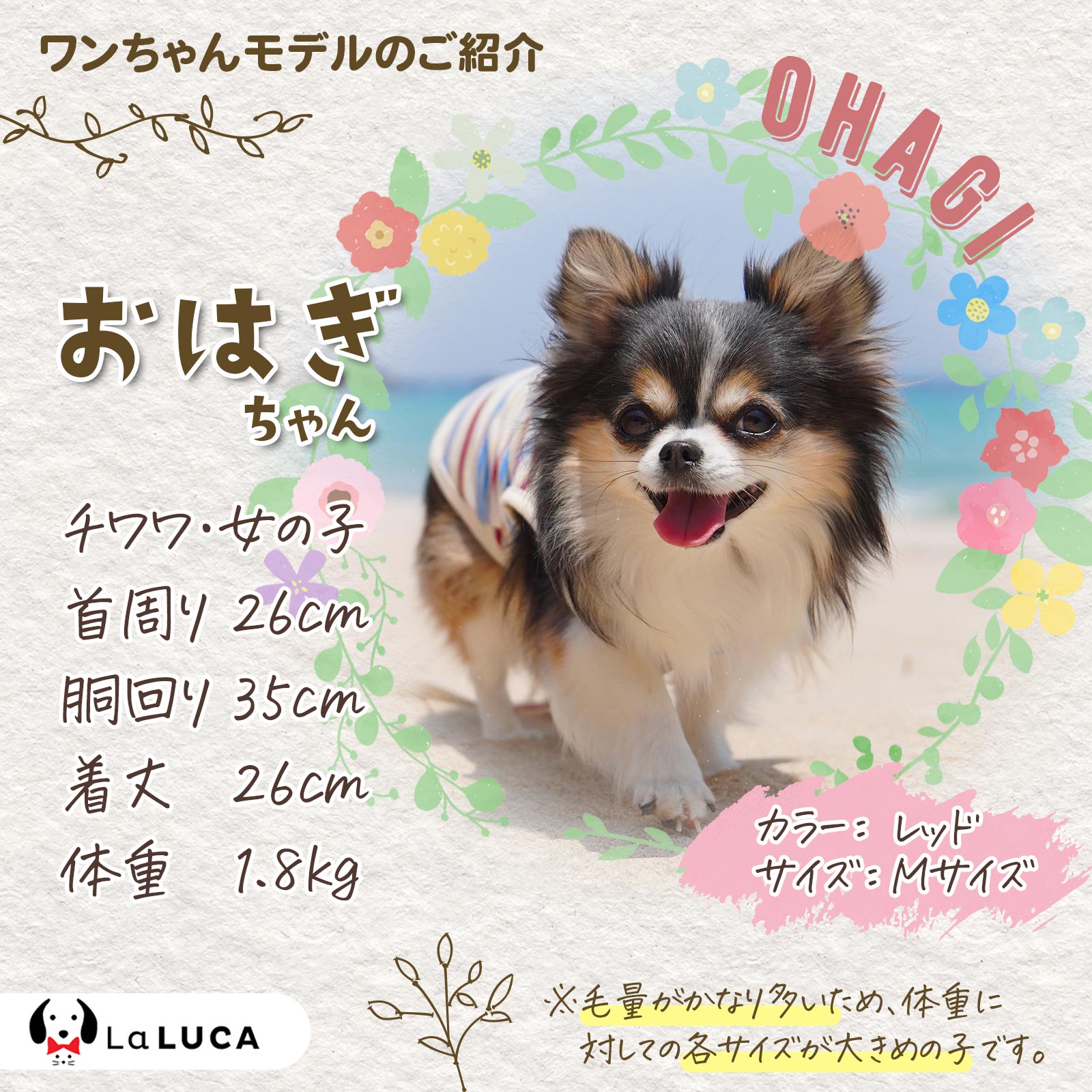 犬 服 犬服 ドッグウェア クマ くま ボーダー Tシャツ タンクトップ タンク クール 抜け毛防止 虫刺され防止 部屋着 オールシーズン LaLUCA