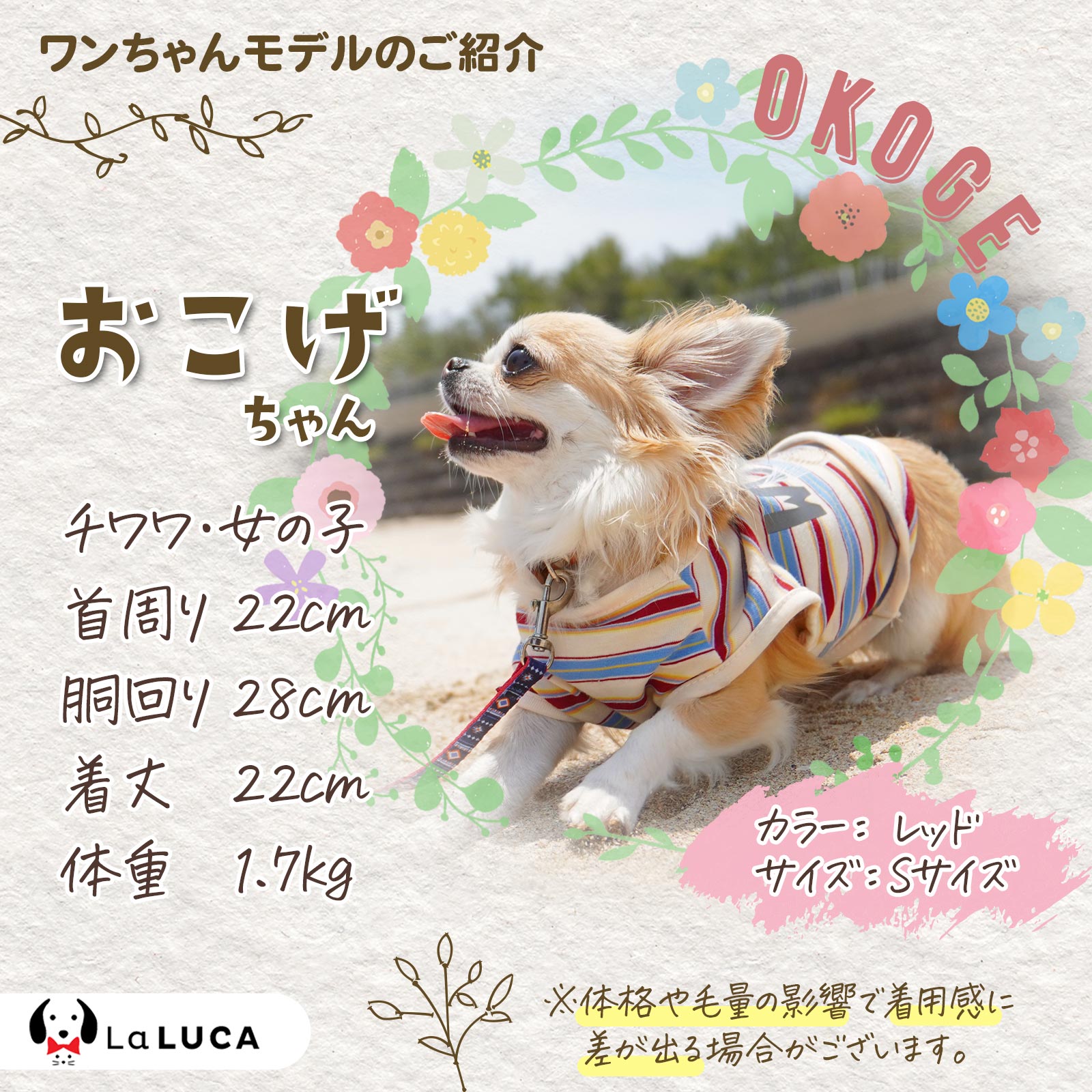 犬 服 犬服 ドッグウェア クマ くま ボーダー Tシャツ タンクトップ タンク クール 抜け毛防止 虫刺され防止 部屋着 オールシーズン LaLUCA