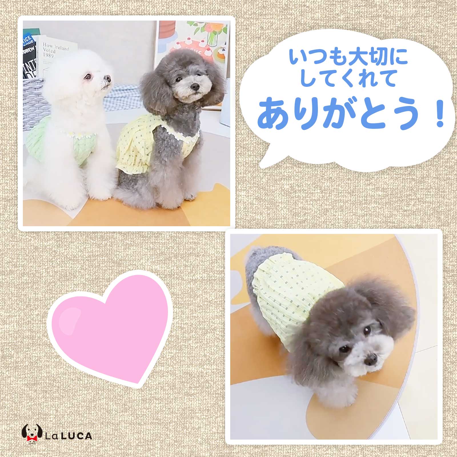 犬 服 おしゃれ かわいい キャミソール タンクトップ タンク やわらか 花柄 猫 ペット服 猫服 海 犬服 おでかけ キャミ フリル LaLUCA グリーン お洒落 子犬 洋服 成犬用 こねこ イエロー チェック柄 ワンチャン