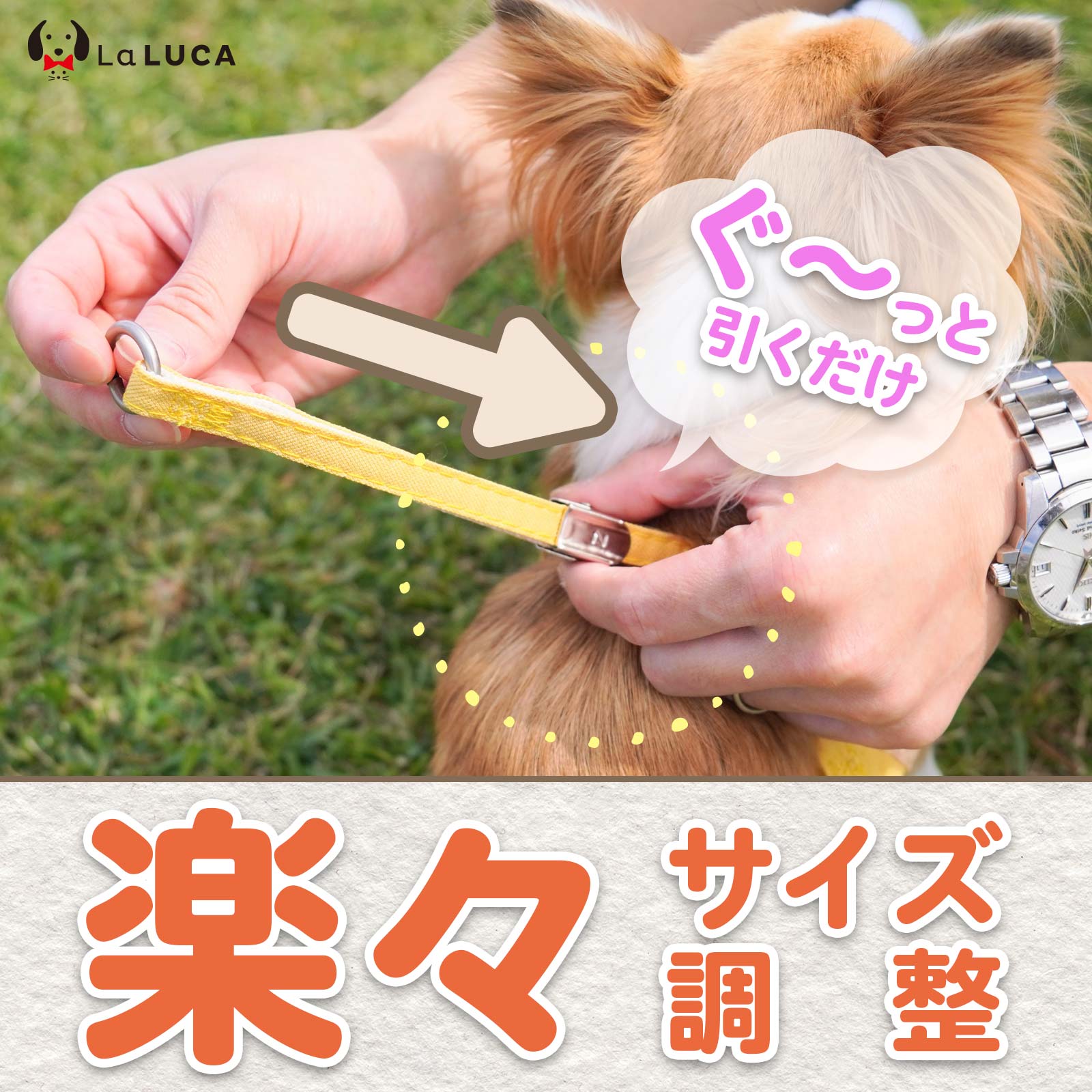 ハーネス 犬 猫 メッシュ 小型犬 花柄 花 リード付き 涼しい 散歩 かわいい おしゃれ LaLUCA 通気性 ぽーち ブルー パステルカラー お洒落 ぽーち 青 はーねす 子犬 成犬用 こねこ イエロー おさんぽ ポーチ 小 愛犬