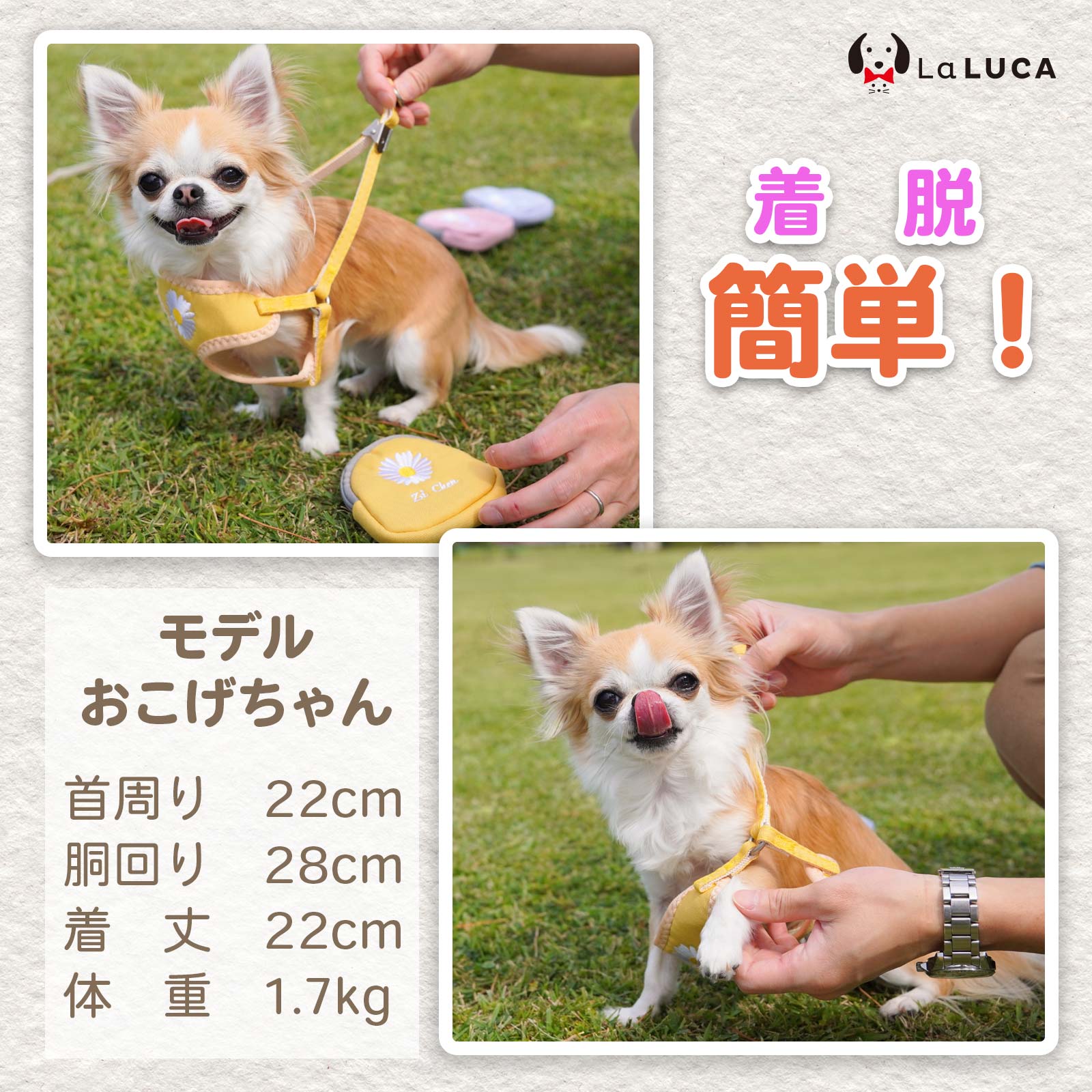 ハーネス 犬 猫 メッシュ 小型犬 花柄 花 リード付き 涼しい 散歩 かわいい おしゃれ LaLUCA 通気性 ぽーち ブルー パステルカラー お洒落 ぽーち 青 はーねす 子犬 成犬用 こねこ イエロー おさんぽ ポーチ 小 愛犬
