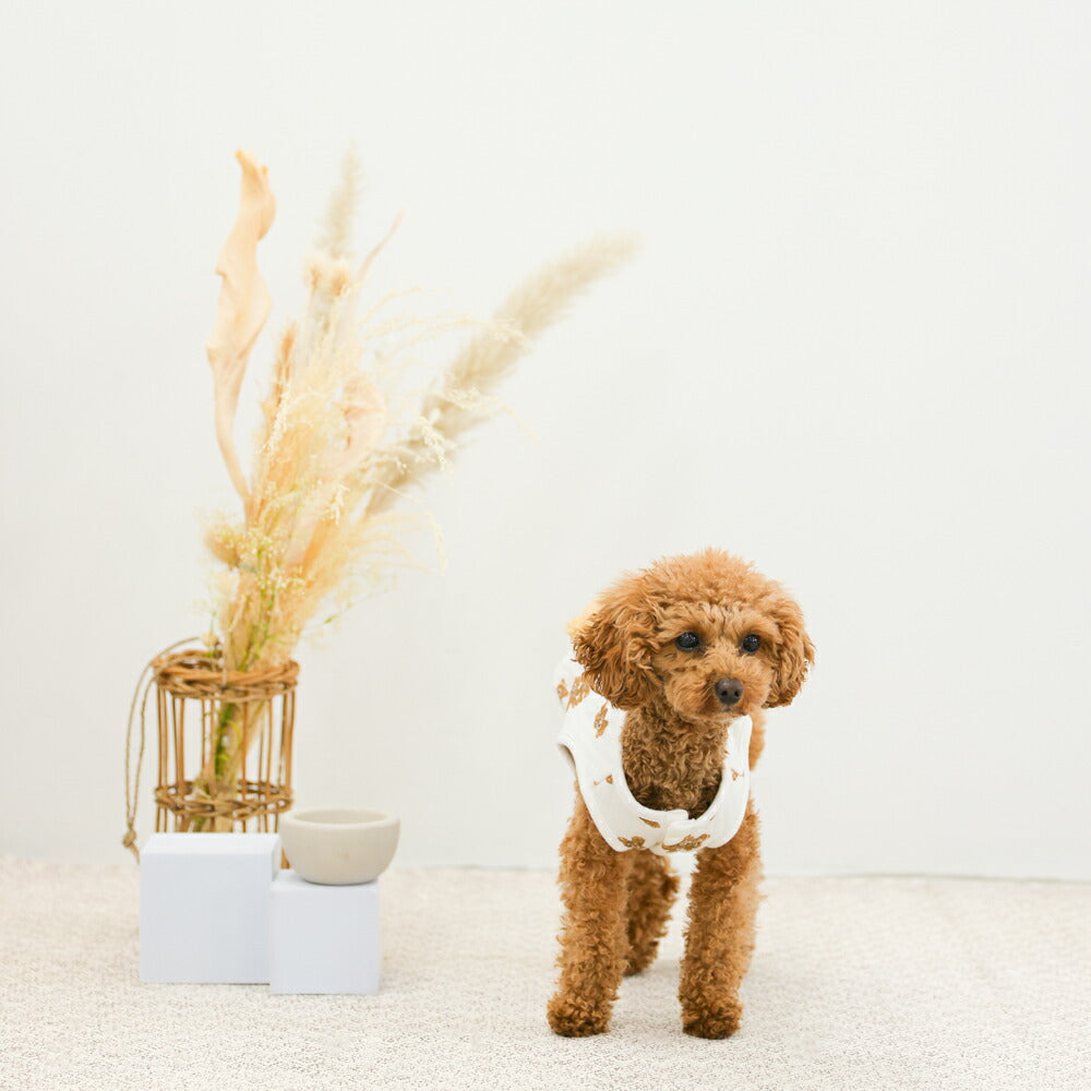犬 服 ペット 犬服 くま ペットウェア 熊柄 クマ柄 かわいい おしゃれ 小型犬 中型犬 春秋 ドッグウエア LaLUCA おんぶ クマ お洒落 子犬 成犬用 おさんぽ ワンチャン わんちゃん 愛犬 ペット用品 お散歩 イヌ ワンちゃん 仔犬