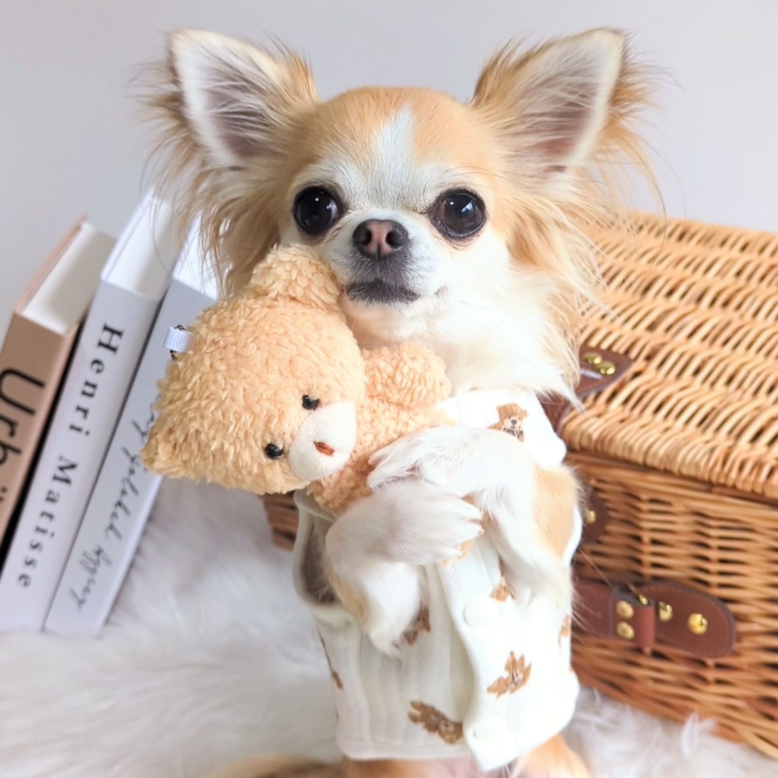 犬 服 ペット 犬服 くま ペットウェア 熊柄 クマ柄 かわいい おしゃれ 小型犬 中型犬 春秋 ドッグウエア LaLUCA おんぶ クマ お洒落 子犬 成犬用 おさんぽ ワンチャン わんちゃん 愛犬 ペット用品 お散歩 イヌ ワンちゃん 仔犬