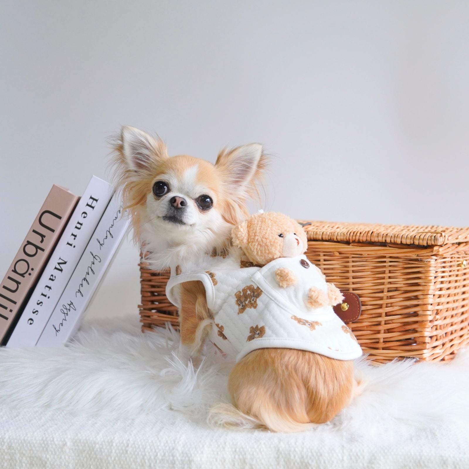 犬 服 ペット 犬服 くま ペットウェア 熊柄 クマ柄 かわいい おしゃれ 小型犬 中型犬 春秋 ドッグウエア LaLUCA おんぶ クマ お洒落 子犬 成犬用 おさんぽ ワンチャン わんちゃん 愛犬 ペット用品 お散歩 イヌ ワンちゃん 仔犬
