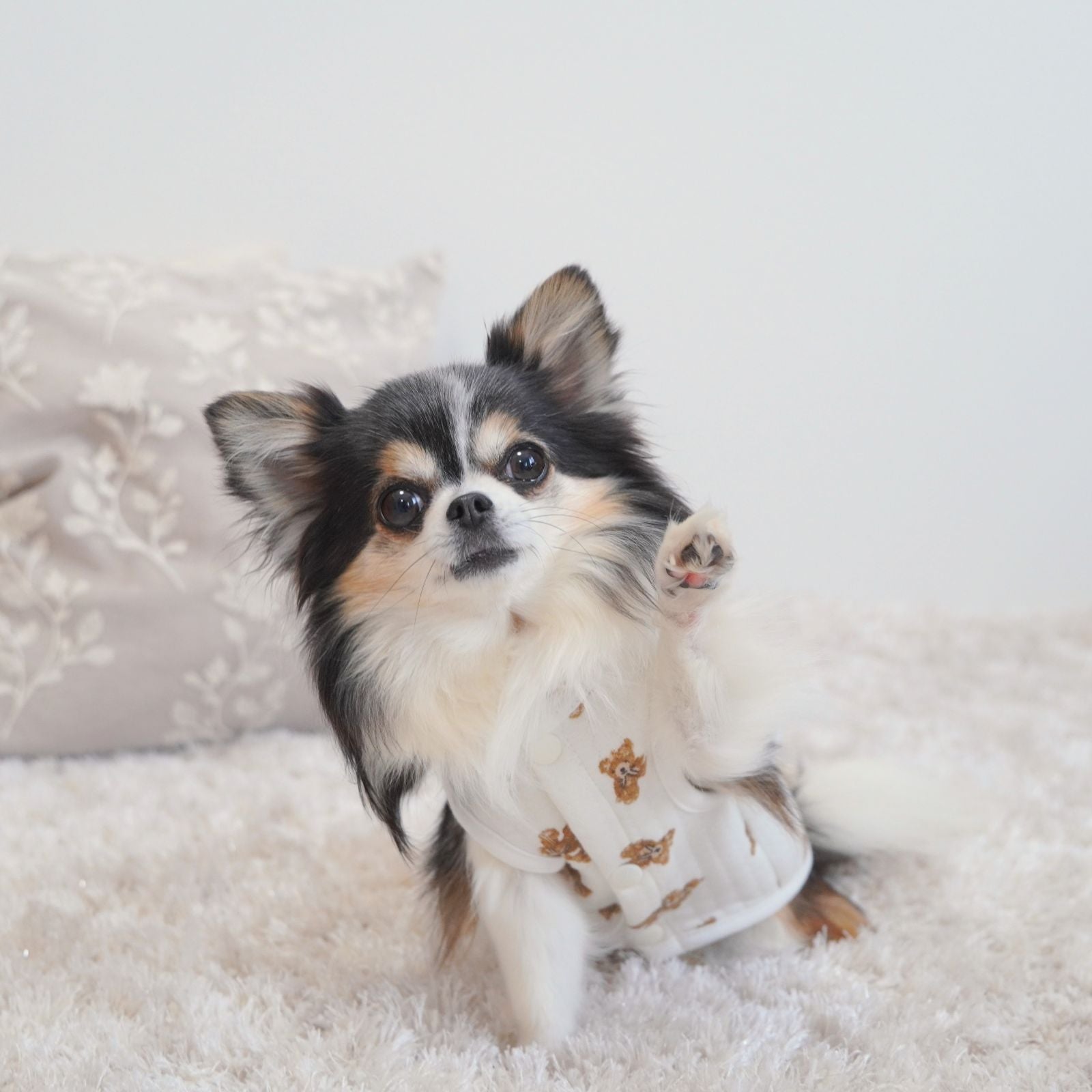 犬 服 ペット 犬服 くま ペットウェア 熊柄 クマ柄 かわいい おしゃれ 小型犬 中型犬 春秋 ドッグウエア LaLUCA おんぶ クマ お洒落 子犬 成犬用 おさんぽ ワンチャン わんちゃん 愛犬 ペット用品 お散歩 イヌ ワンちゃん 仔犬