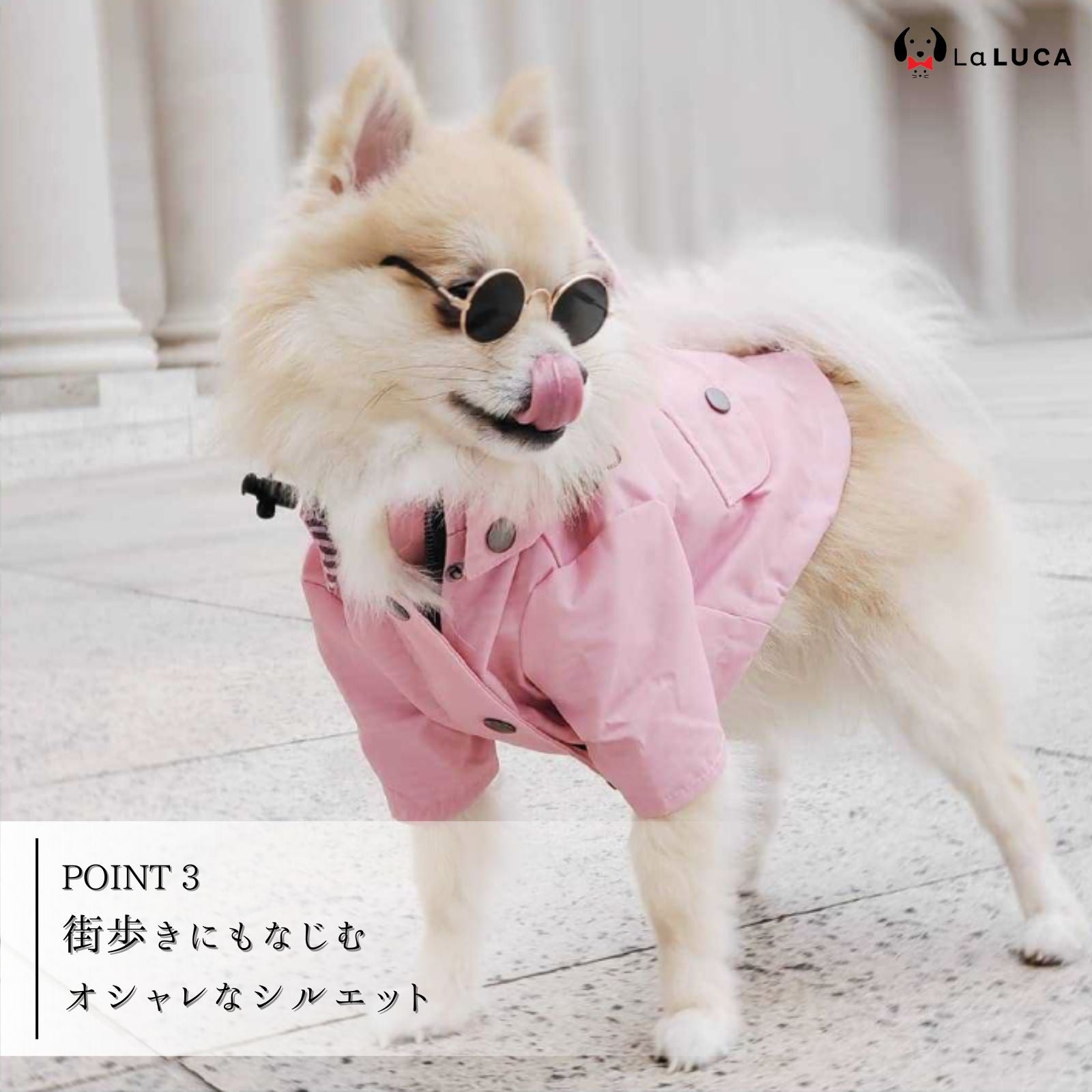 カッパ