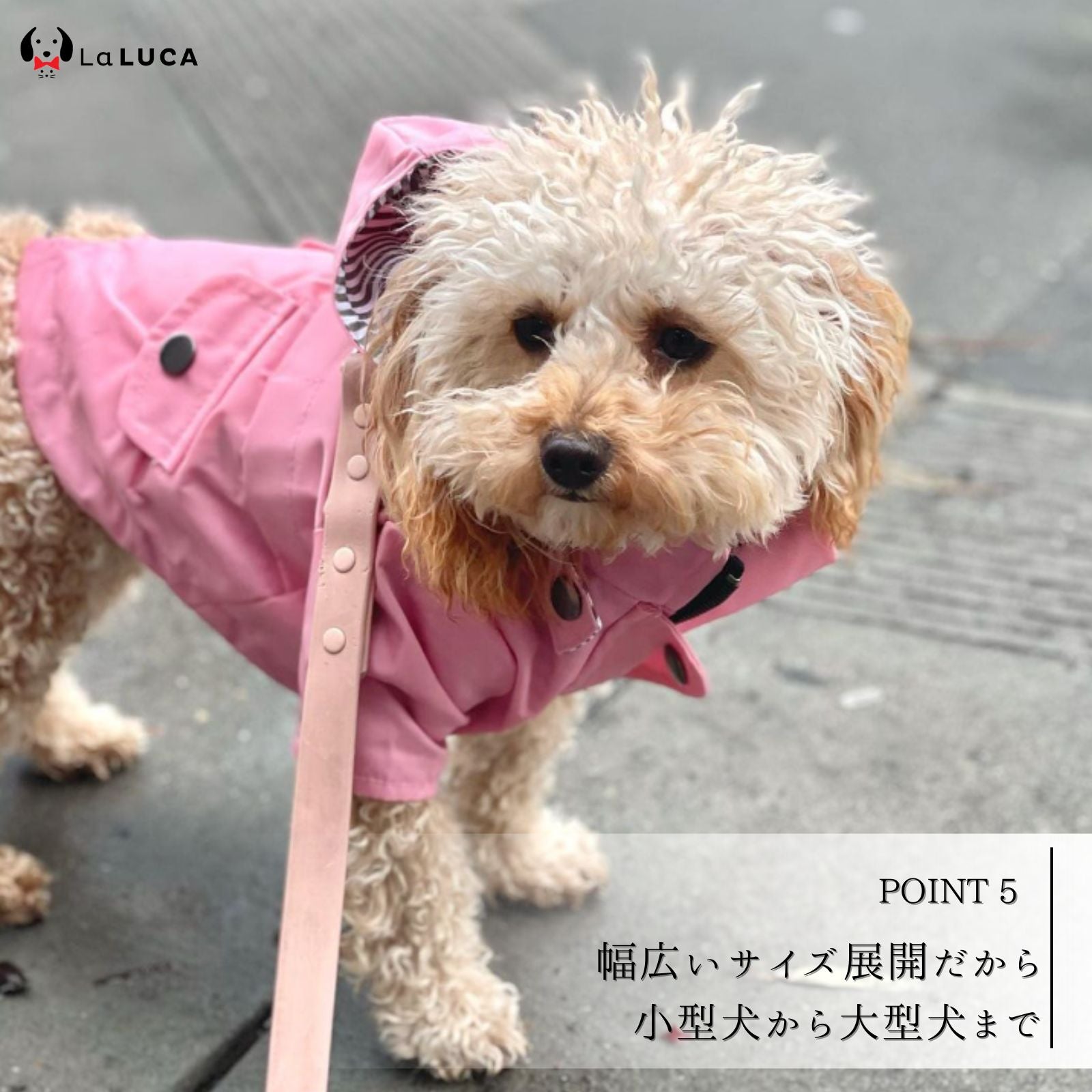 可愛い