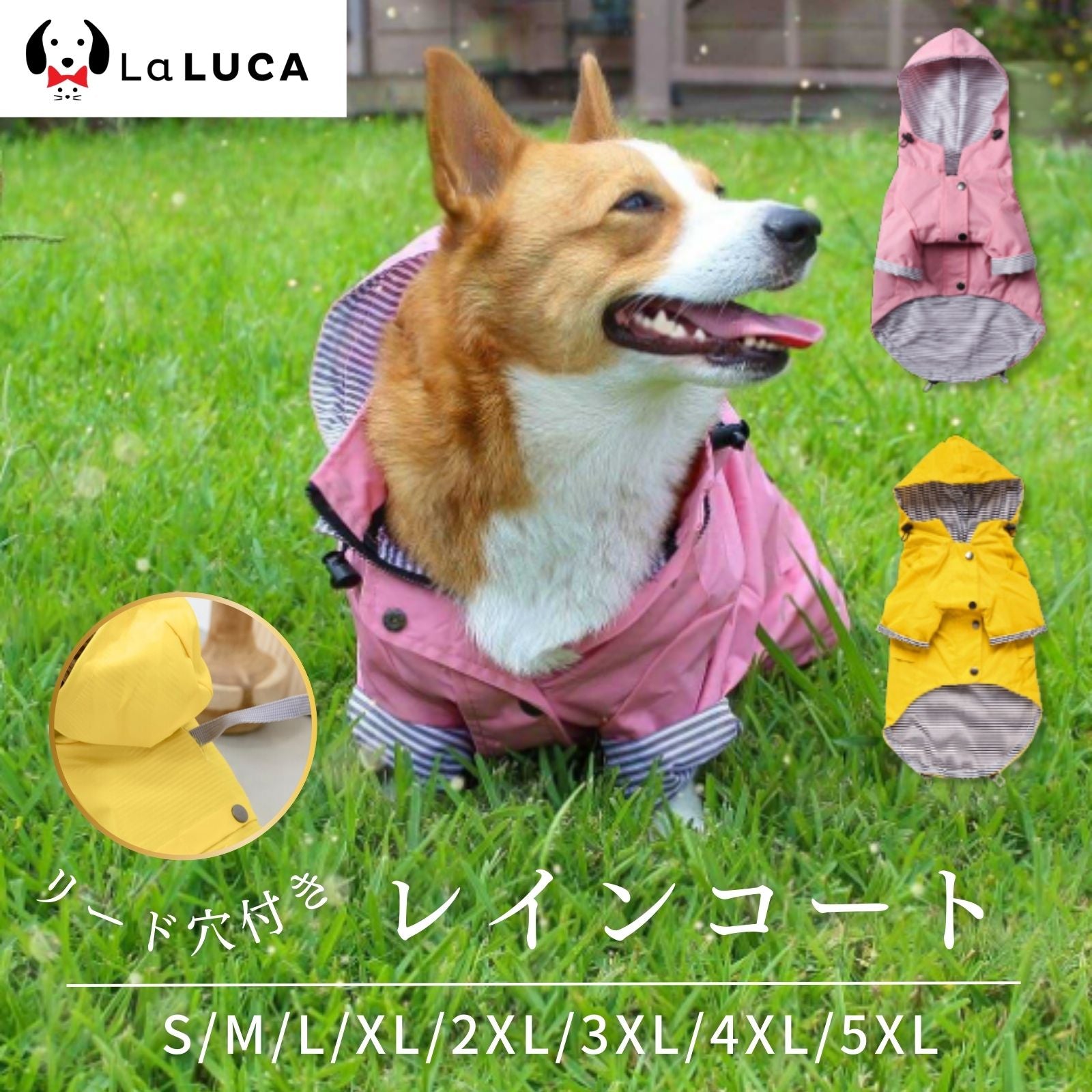 犬