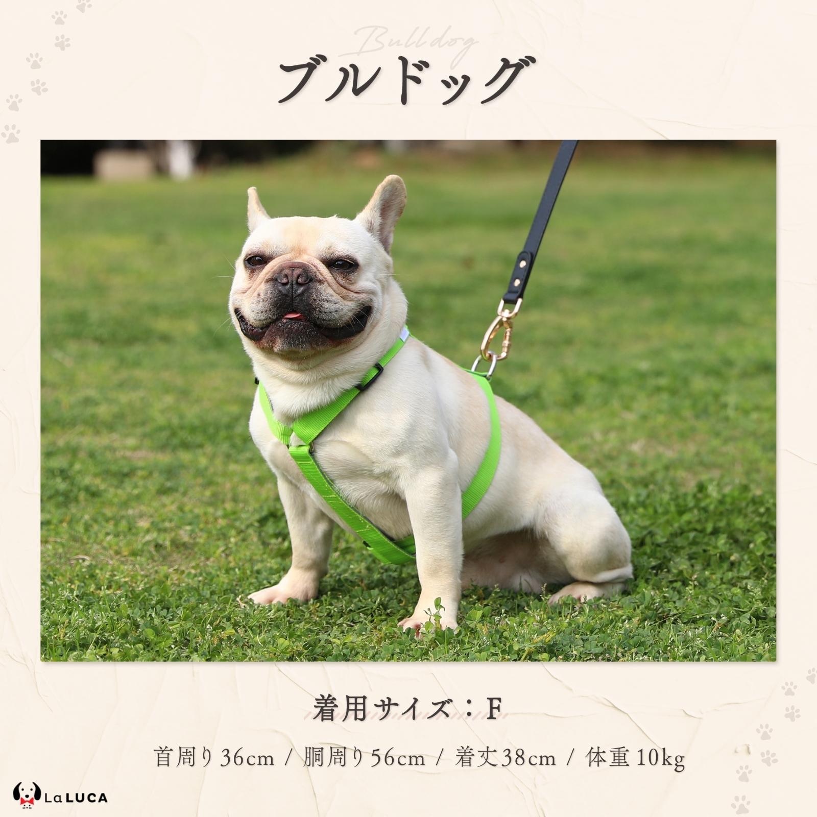 【楽天6冠】 犬 ハーネス 小型犬 中型犬 大型犬 抜けにくい 抜けない 脱げにくい 脱げない エスケープガード 柴犬 おしゃれ かわいい 速乾 雨の日 安心 アウトドア 簡単 ロック 胴輪 犬用 介護 お出かけ 散歩 LaLUCA 赤 緑 レッド 青 はーねす おでかけ 子犬
