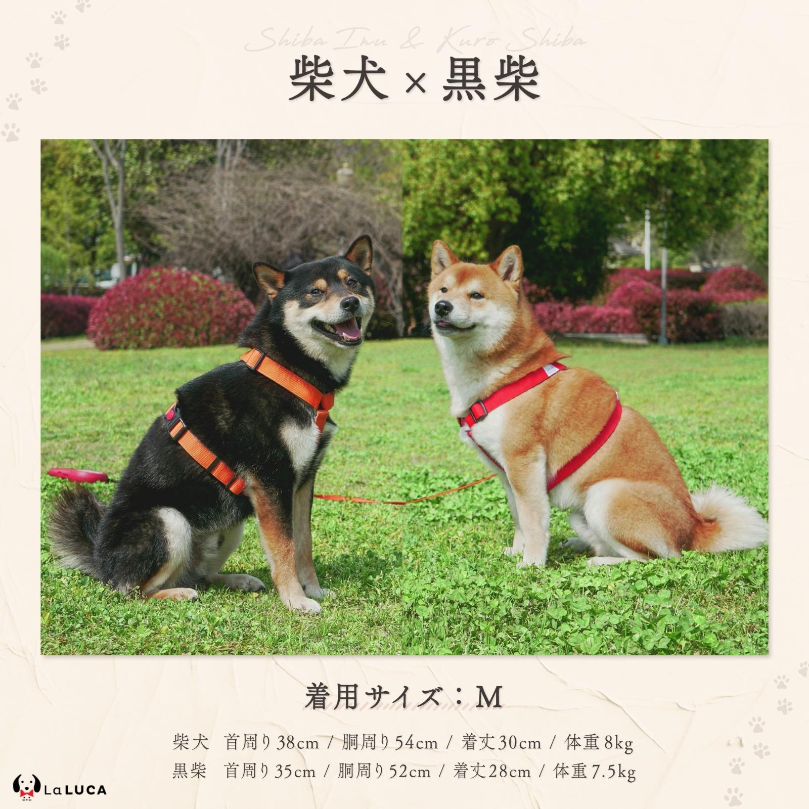 【楽天6冠】 犬 ハーネス 小型犬 中型犬 大型犬 抜けにくい 抜けない 脱げにくい 脱げない エスケープガード 柴犬 おしゃれ かわいい 速乾 雨の日 安心 アウトドア 簡単 ロック 胴輪 犬用 介護 お出かけ 散歩 LaLUCA 赤 緑 レッド 青 はーねす おでかけ 子犬