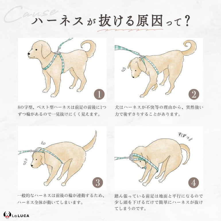 バナー