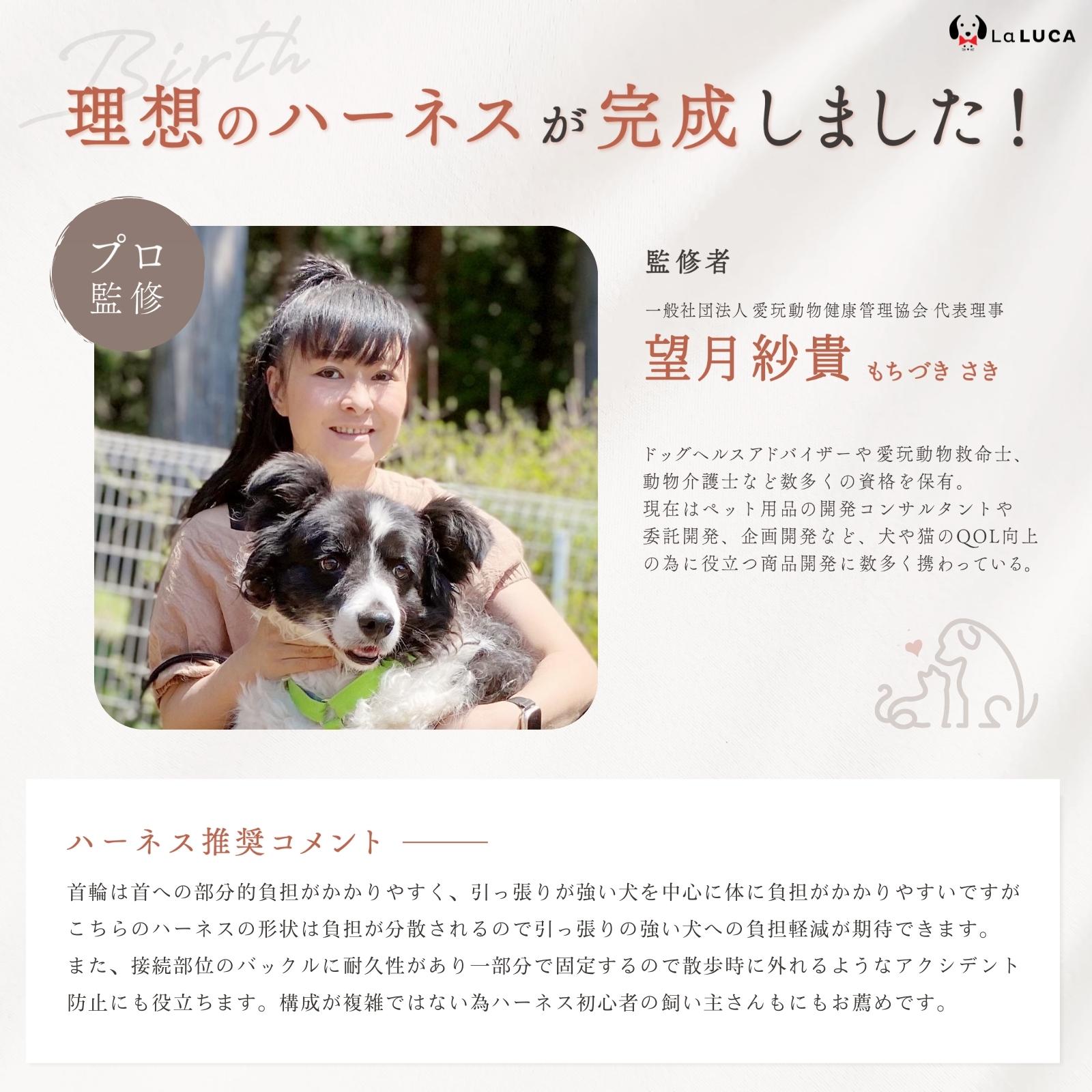 【楽天6冠】 犬 ハーネス 小型犬 中型犬 大型犬 抜けにくい 抜けない 脱げにくい 脱げない エスケープガード 柴犬 おしゃれ かわいい 速乾 雨の日 安心 アウトドア 簡単 ロック 胴輪 犬用 介護 お出かけ 散歩 LaLUCA 赤 緑 レッド 青 はーねす おでかけ 子犬